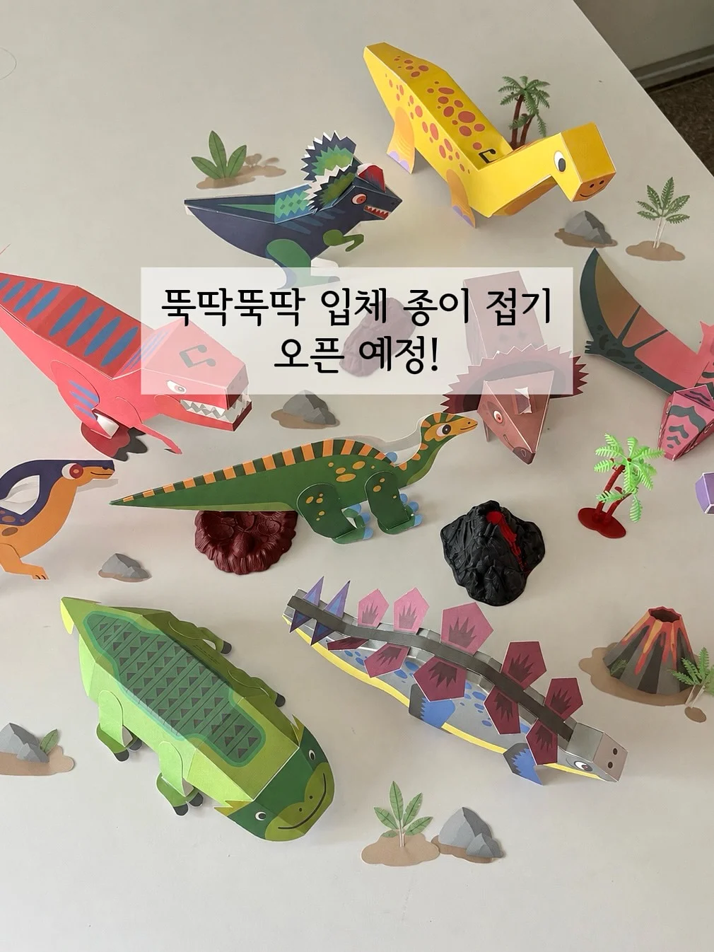 코튼 버뮤다 팬츠 1