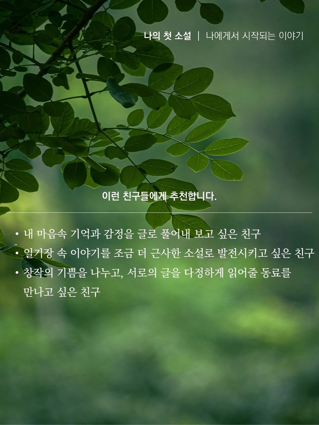 양말 4