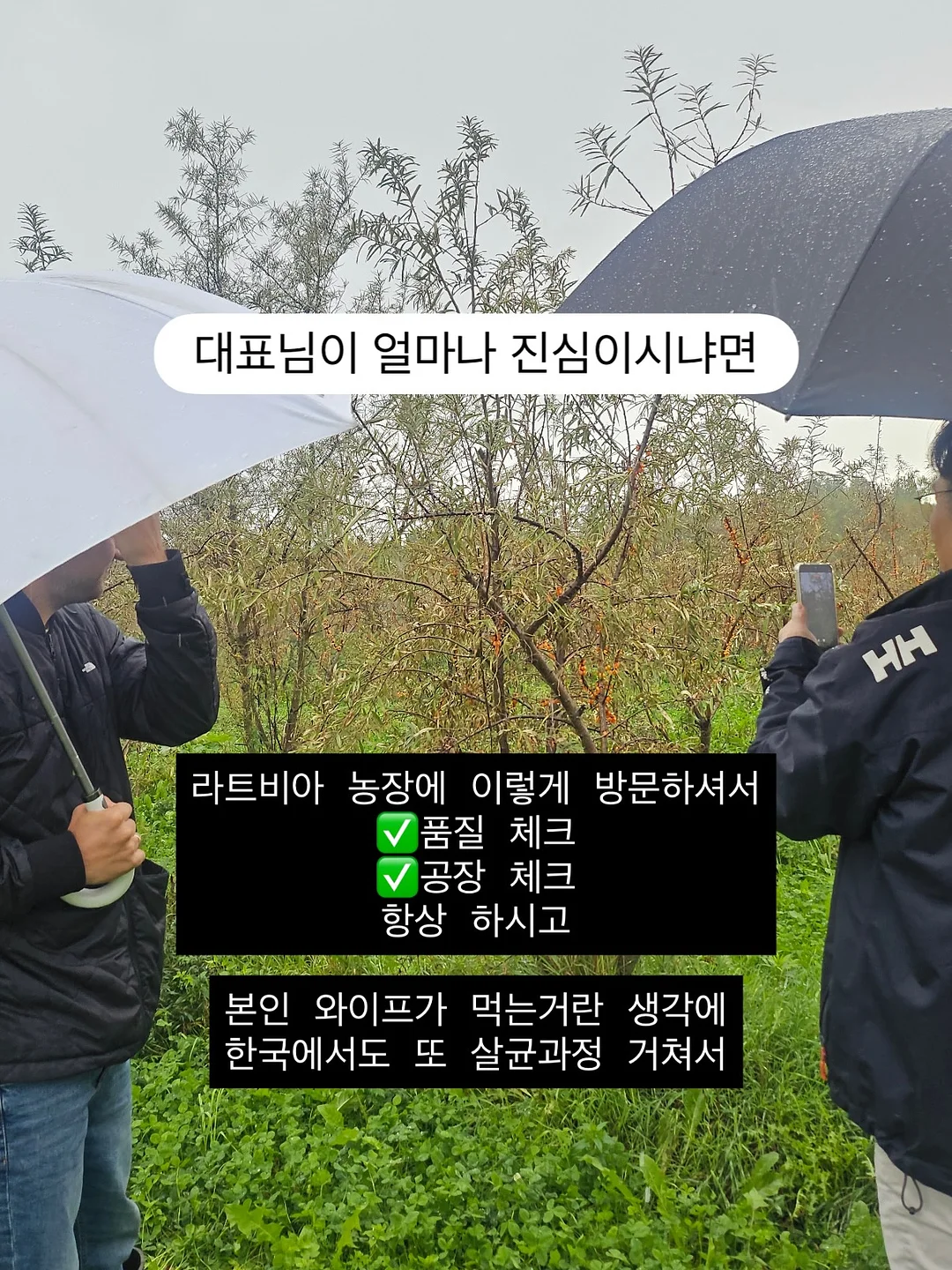 단정 치마바지, 여밈 대구고 바지, 조선바지 13