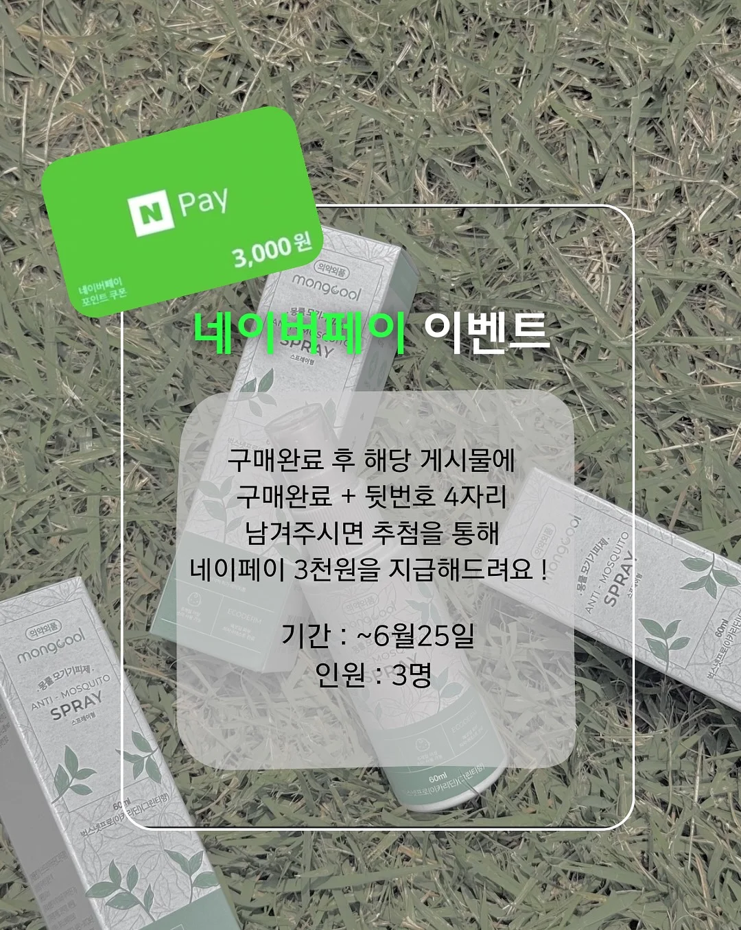 린넨자수셔츠 레이스반바지 2