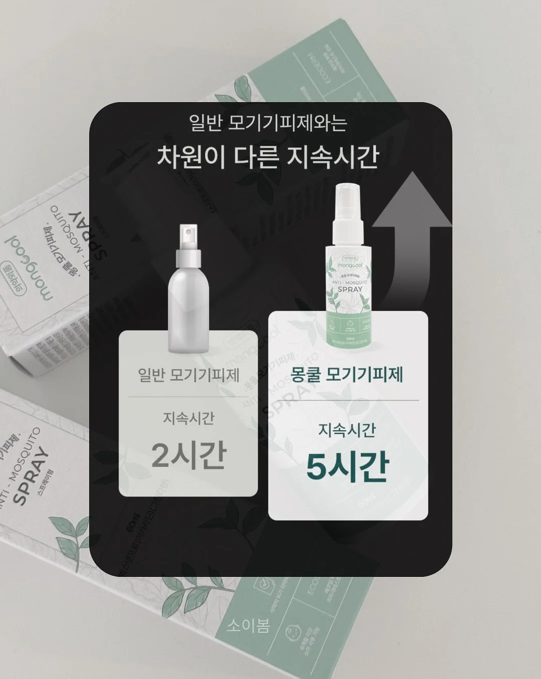린넨자수셔츠 레이스반바지 6