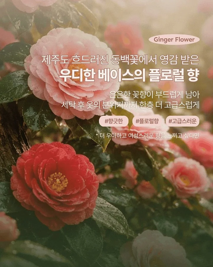 밤부골지 5부 실내복 8