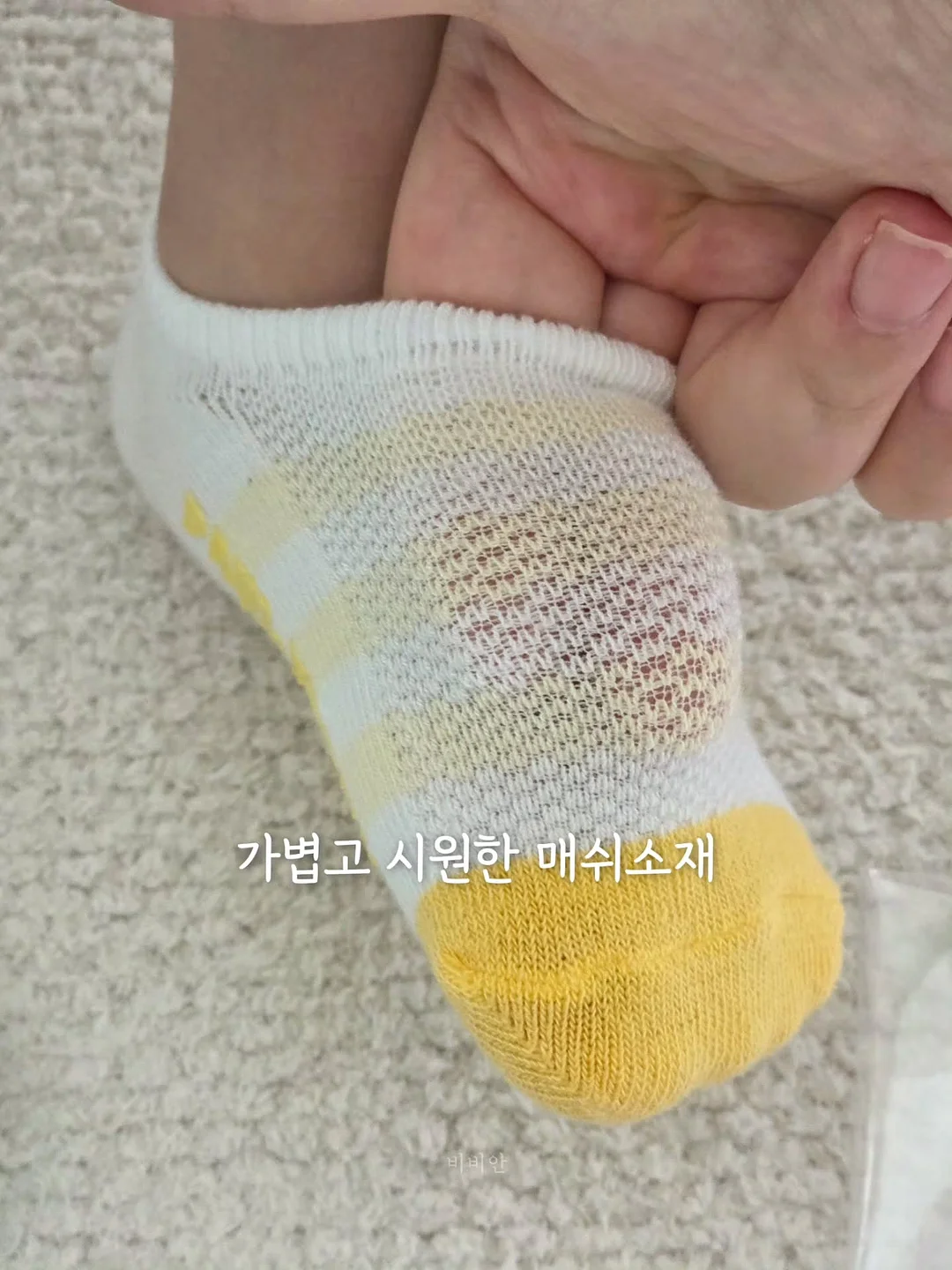 롤팬 뉴오리지널 6