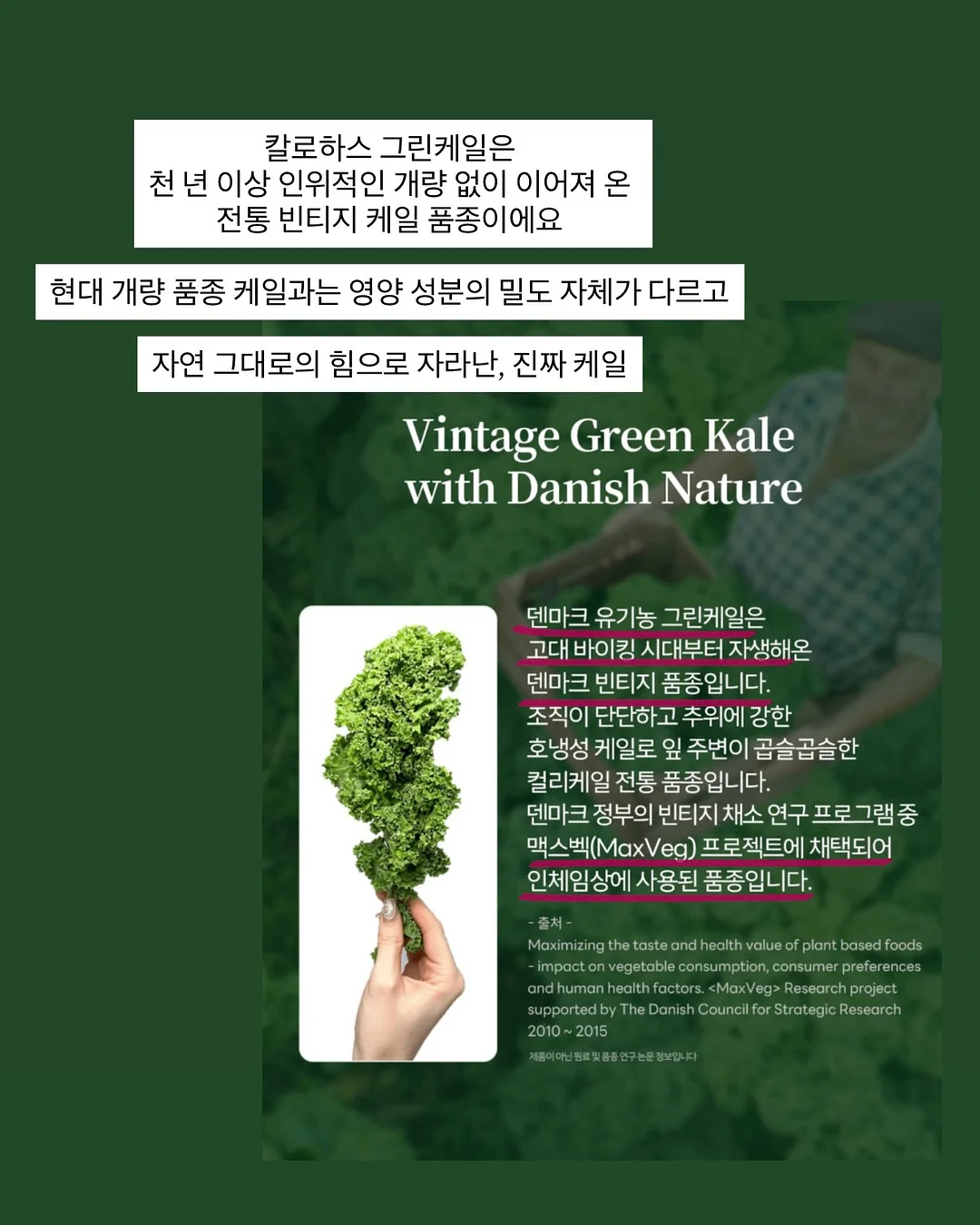 락케이크 신상 10