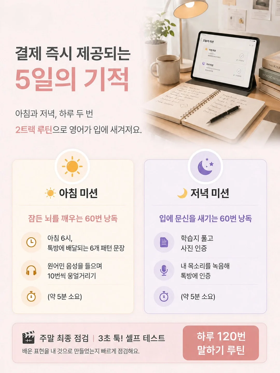손바닥 서점 5