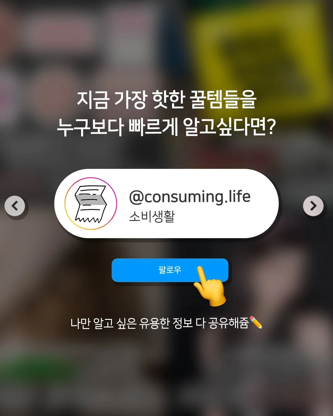 셔링 나그랑 7부 티셔츠와 레이스 레이어드 팬츠 5