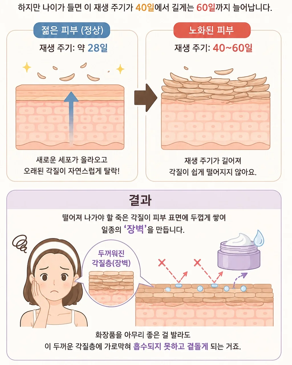 시카겔 2