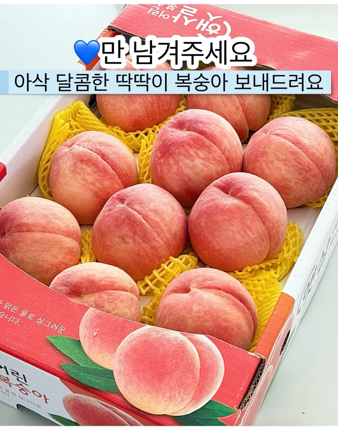 오이김밥 1