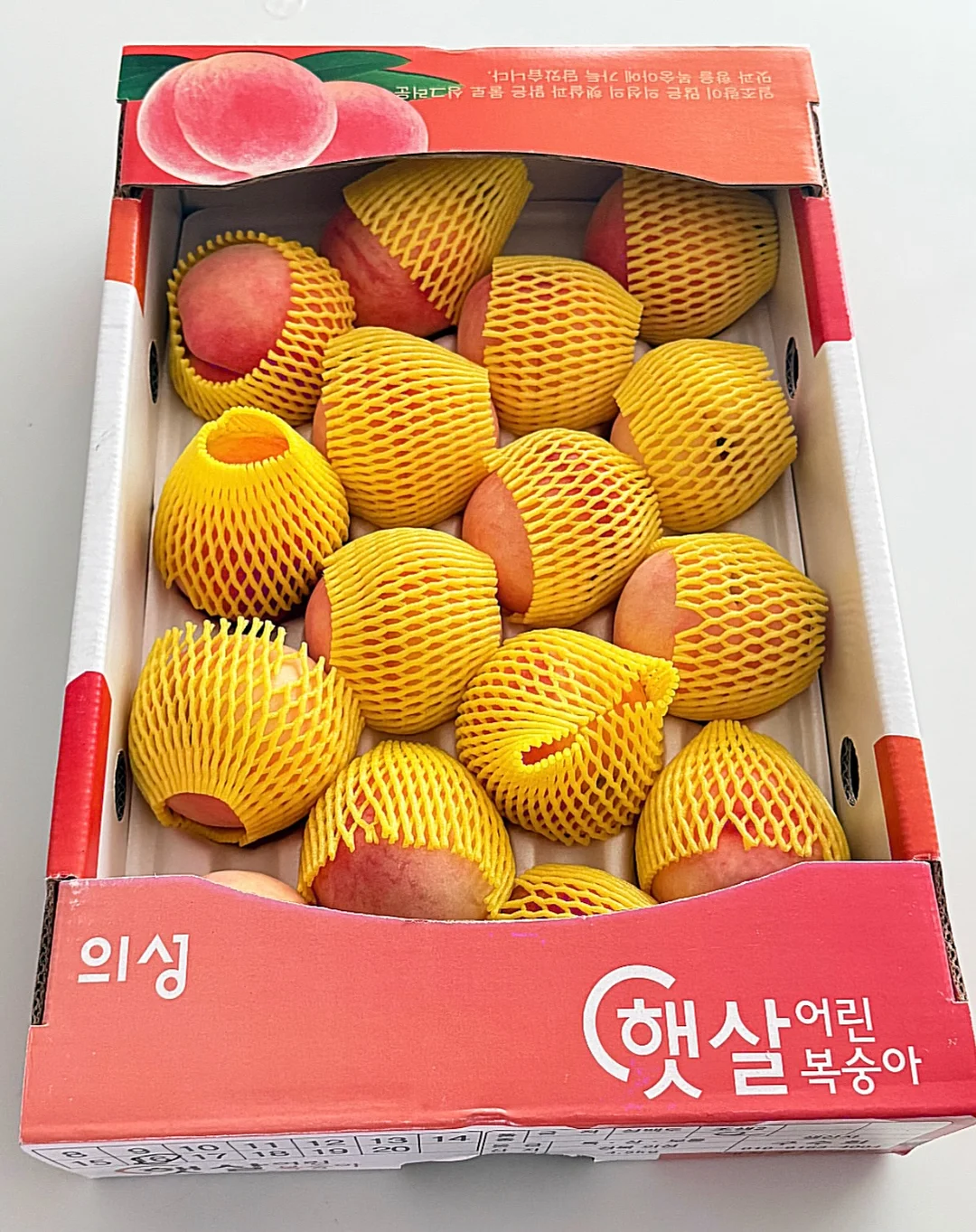오이김밥 8