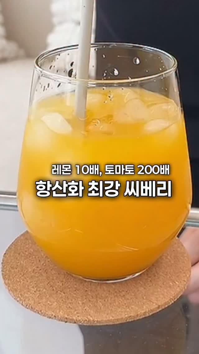 사각 모노키니