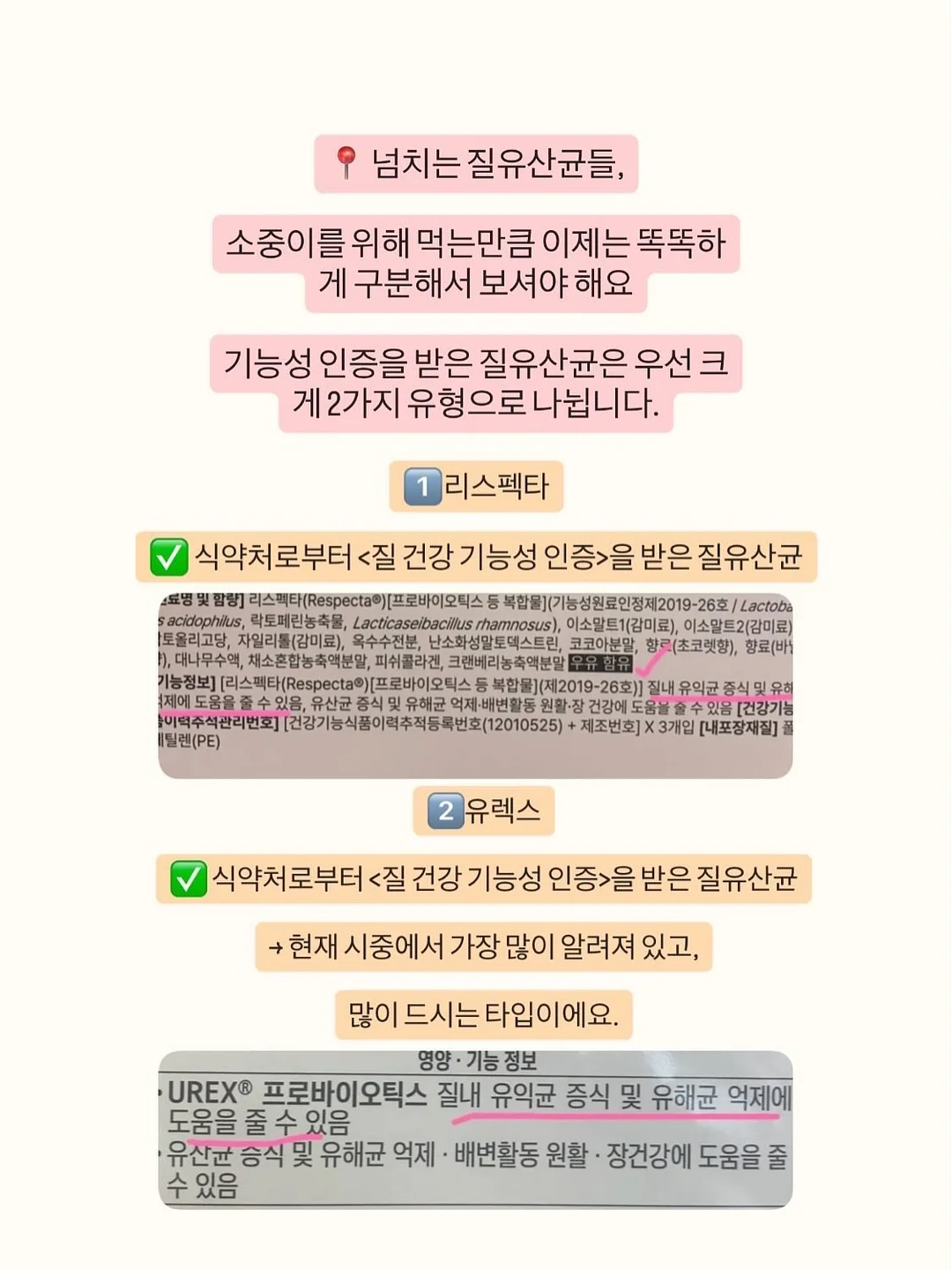 YDY 파이토좀 베르베린 2