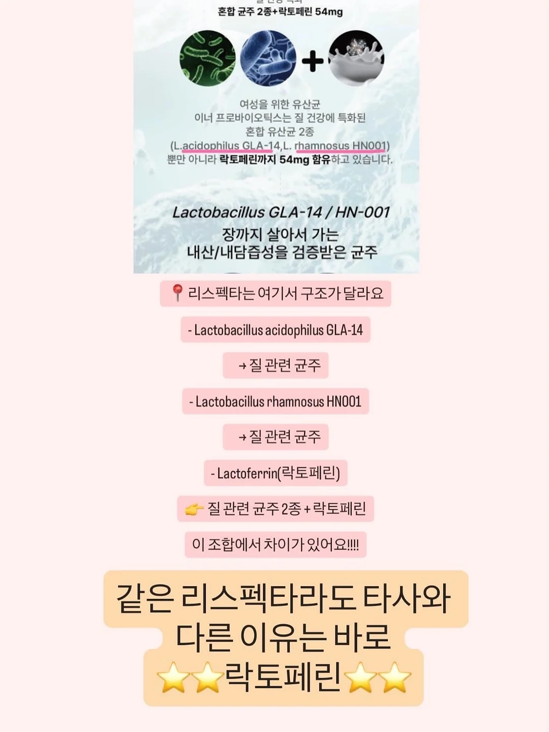 YDY 파이토좀 베르베린 5
