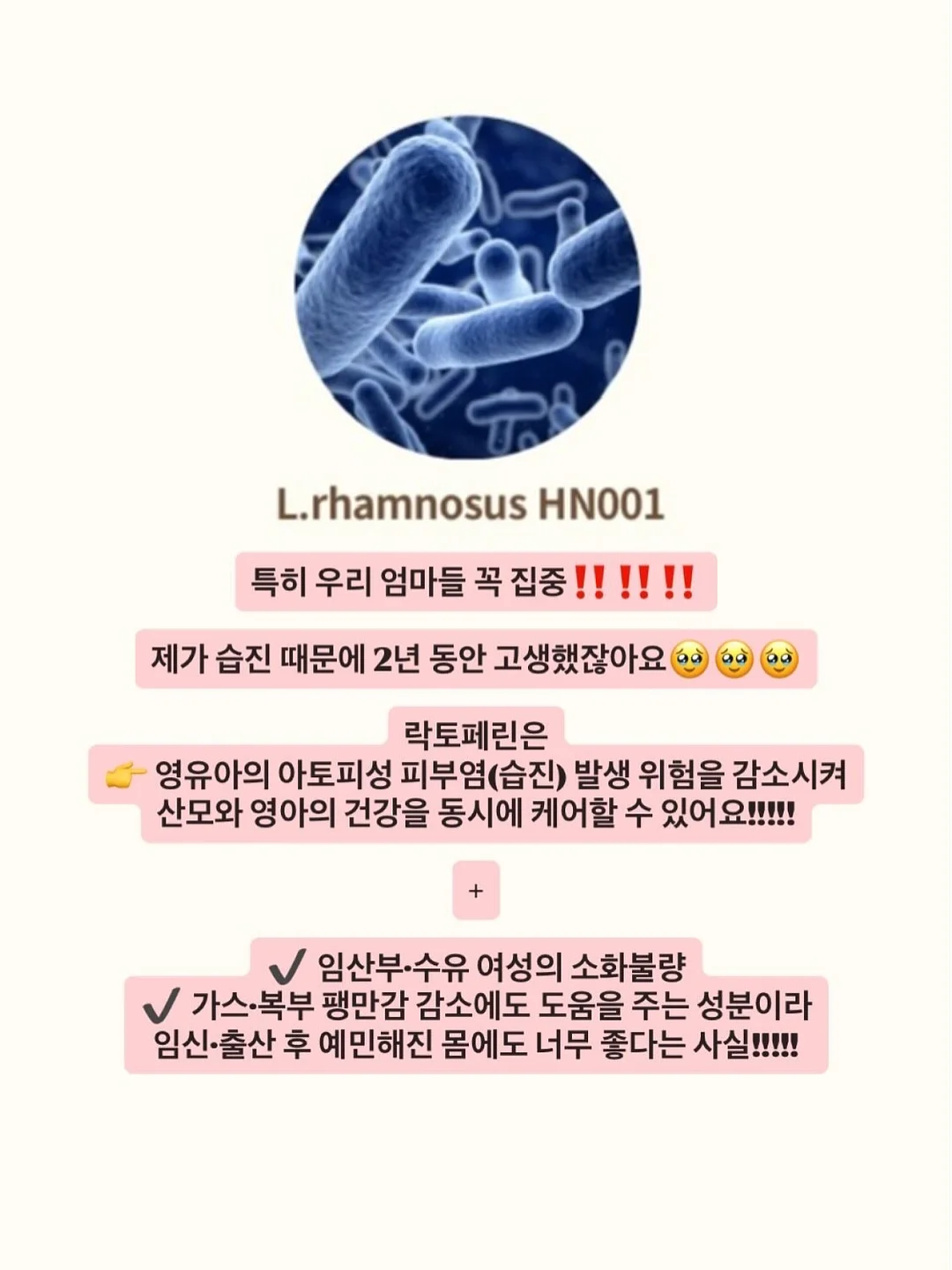 YDY 파이토좀 베르베린 7
