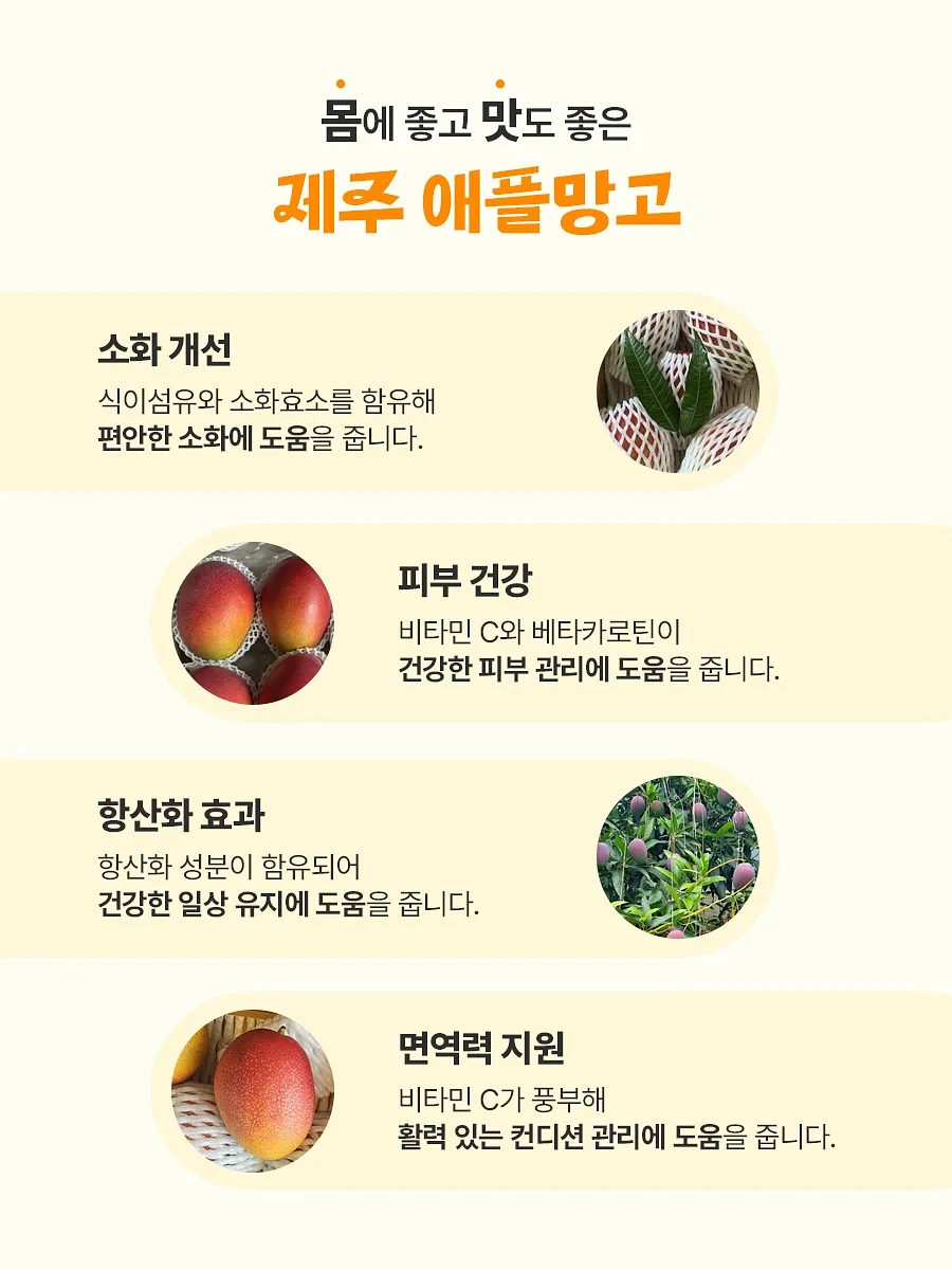 귀요미 동물 텐프레임 8종 6