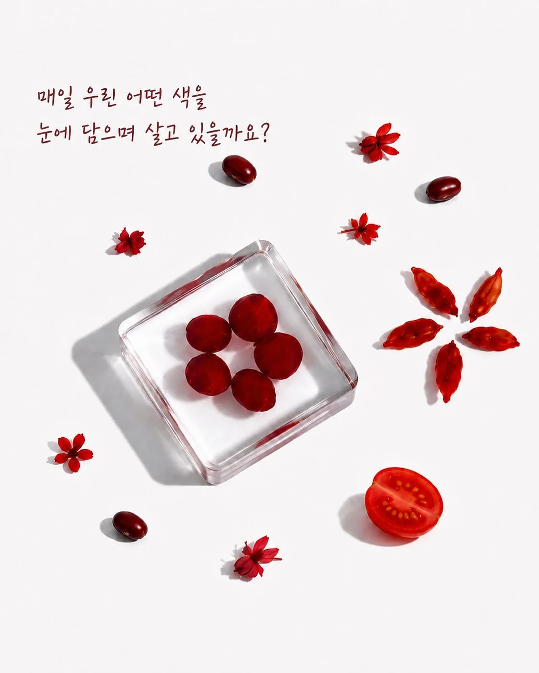 길팁 샐러드캔디 토마토 분말 2