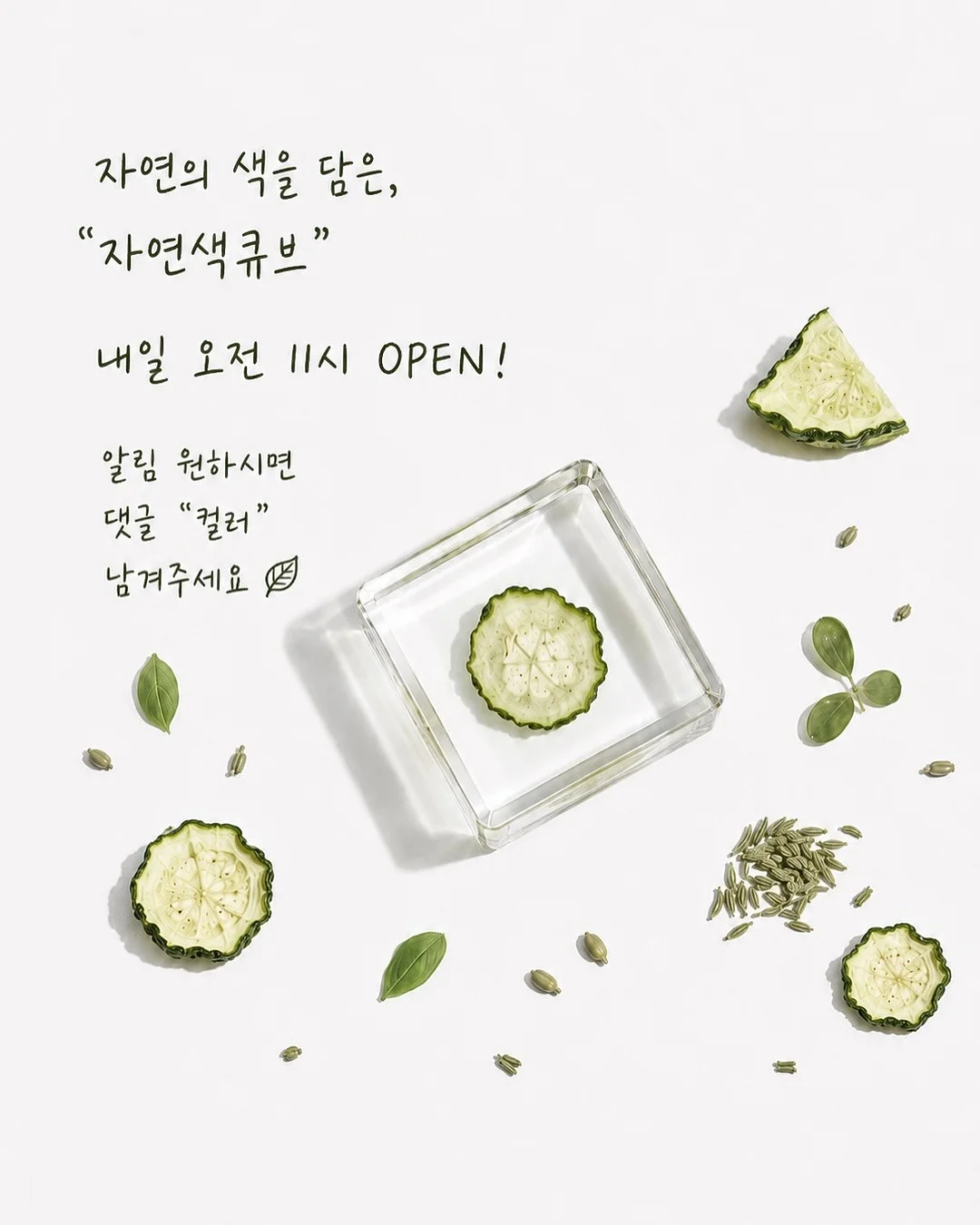 길팁 샐러드캔디 토마토 분말 9