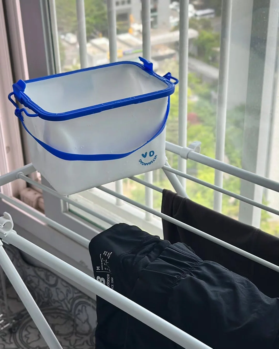 퀴리 컬리케일 빈티지 1903 6