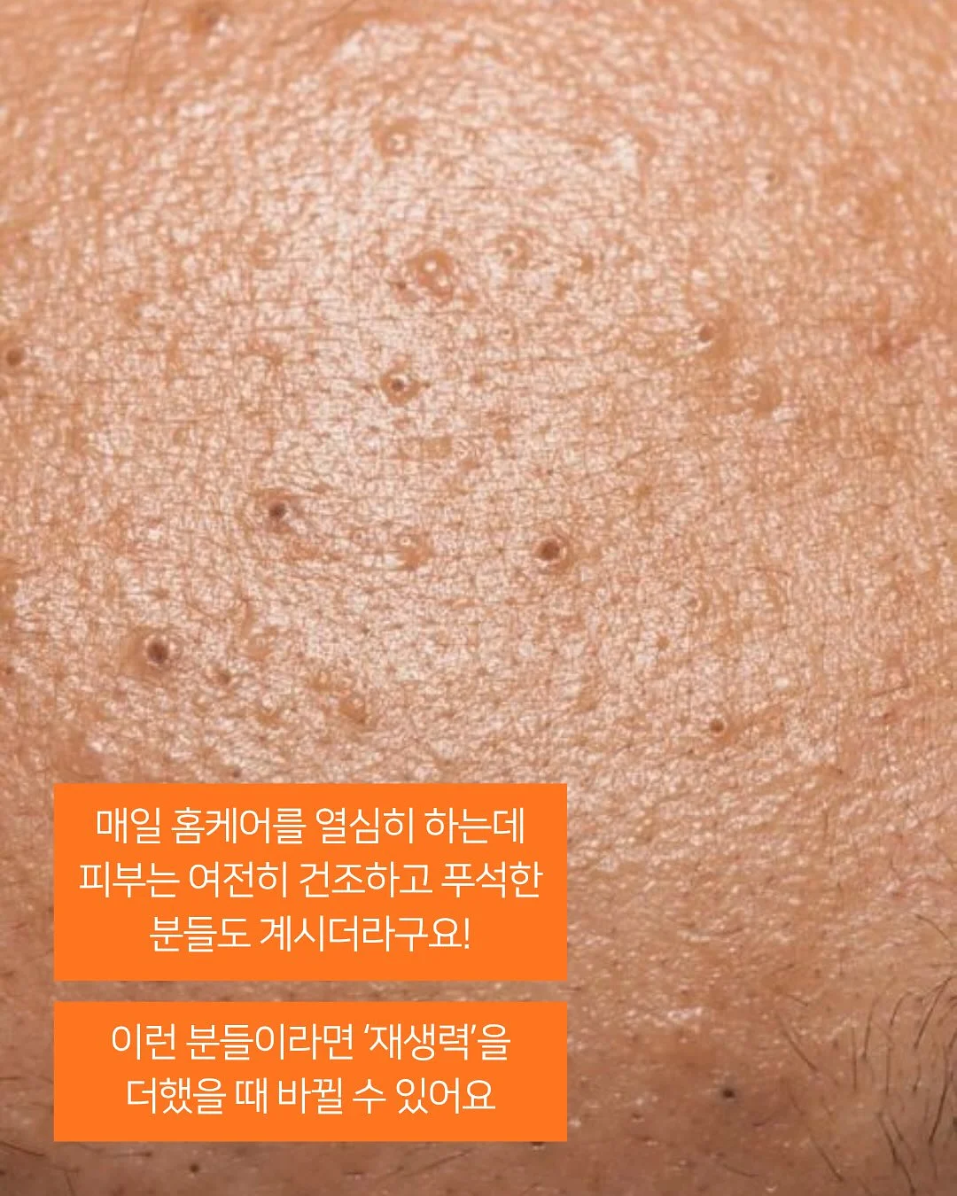 바다 영화관 2
