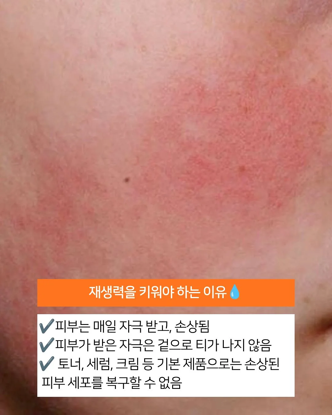 바다 영화관 4