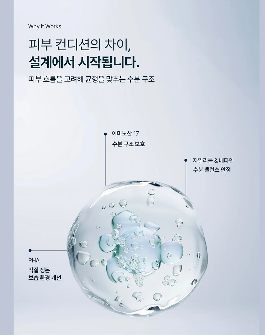 사과 약콩두유 조합 10