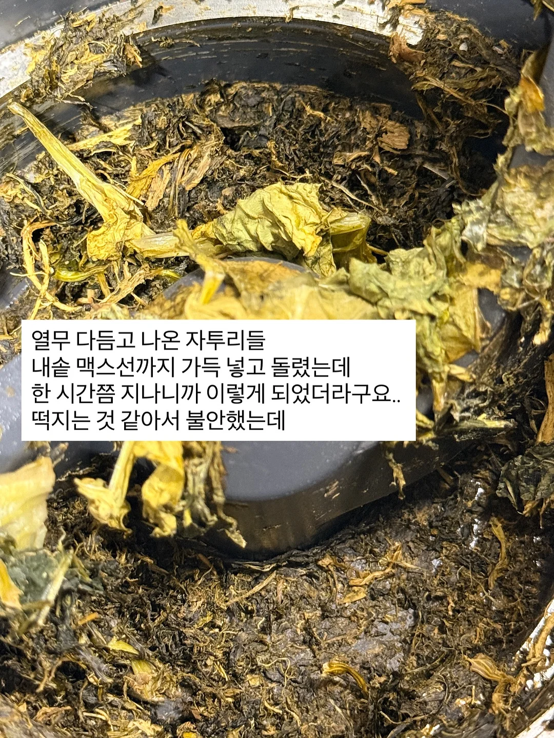 더베드랩 무헤드 프레임 11