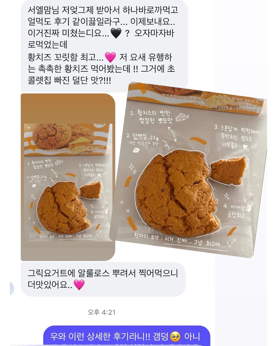 반려식물 20