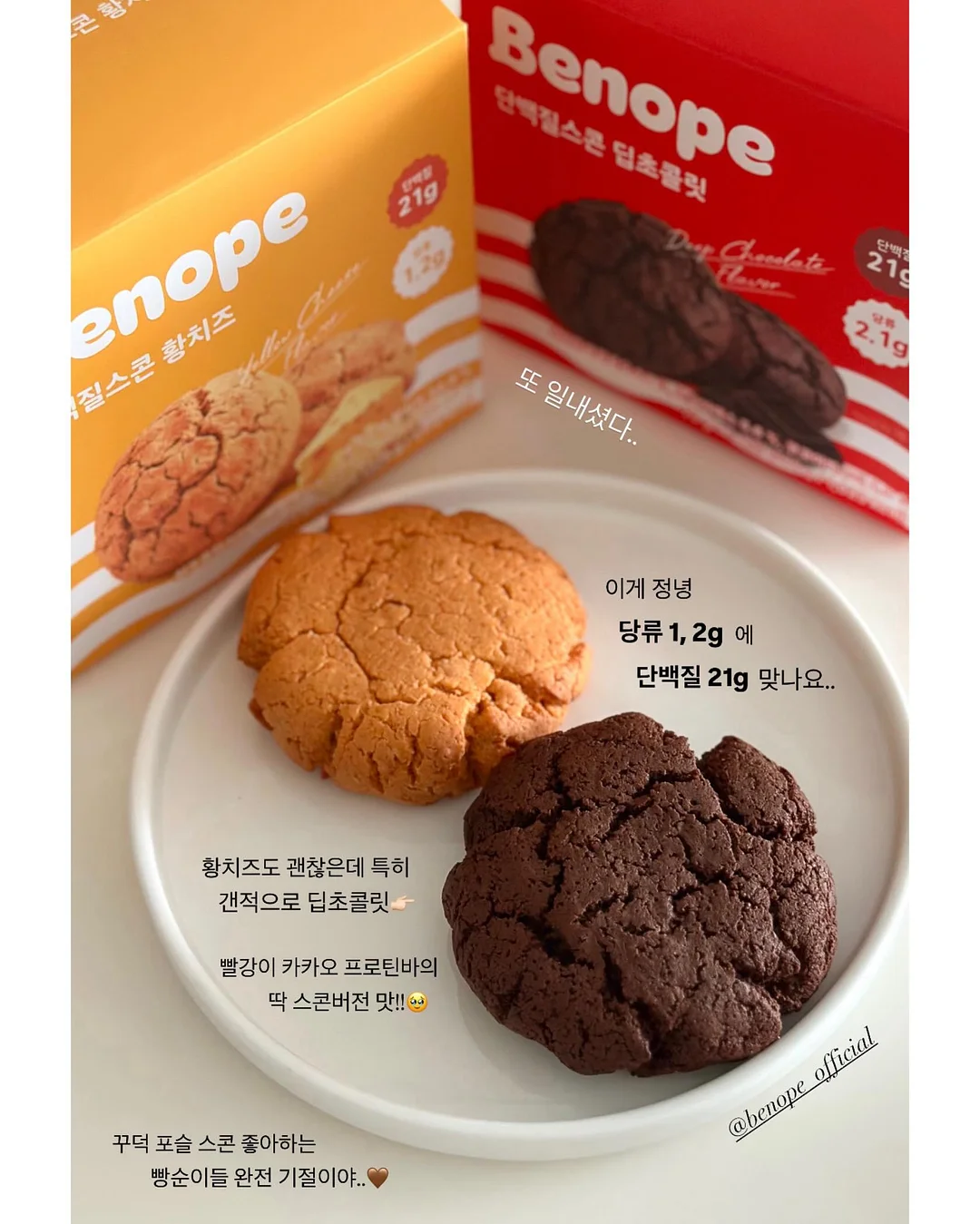 반려식물 8
