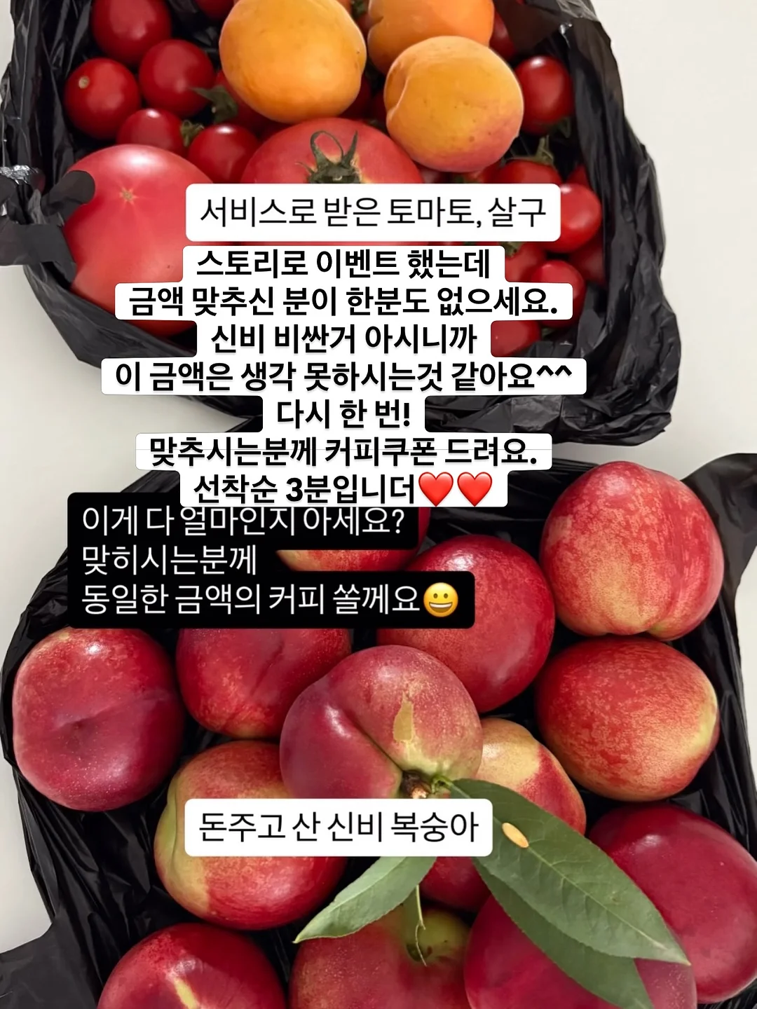 자이언트 브레인 4