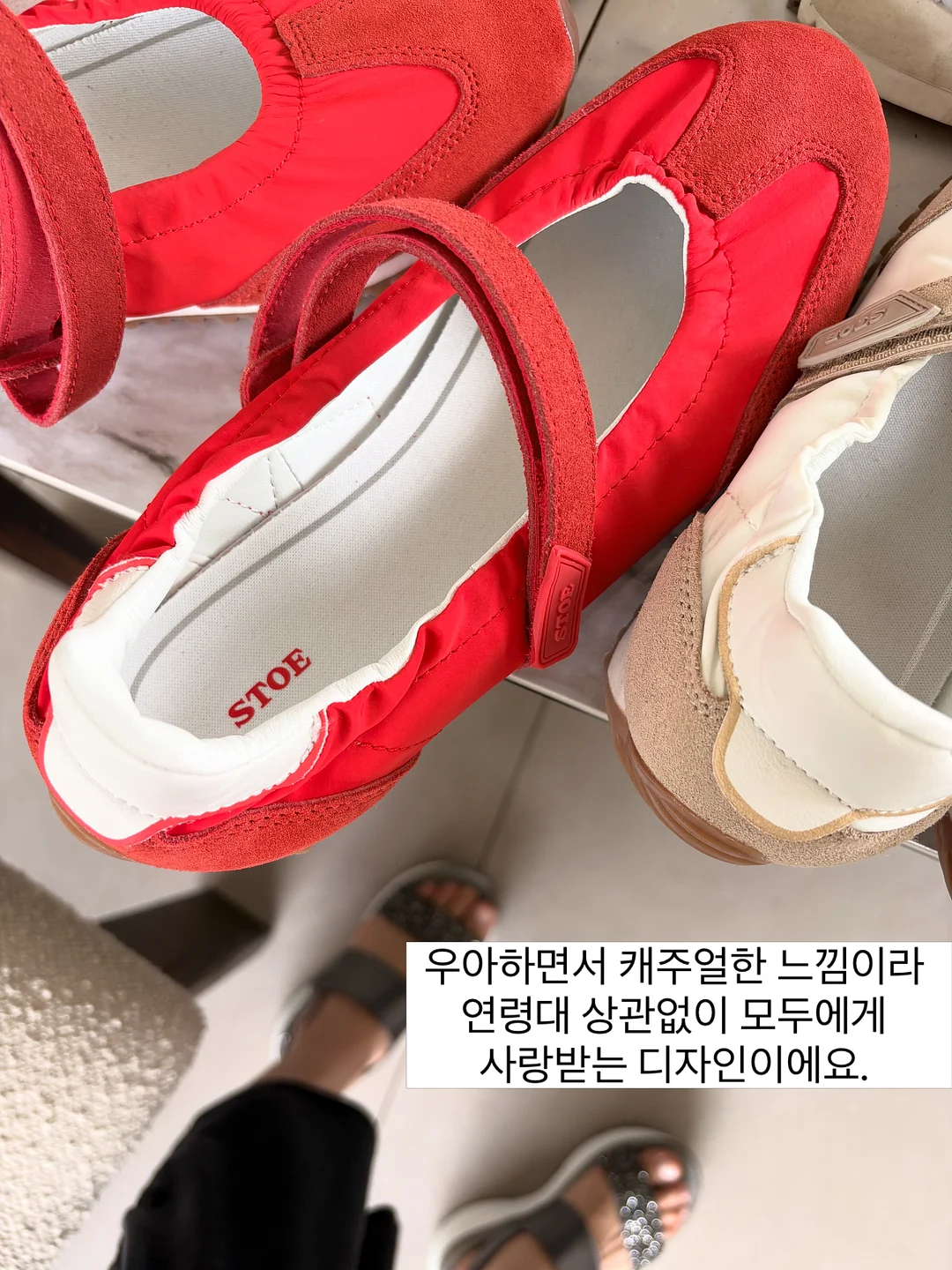 인삼과 과일 17