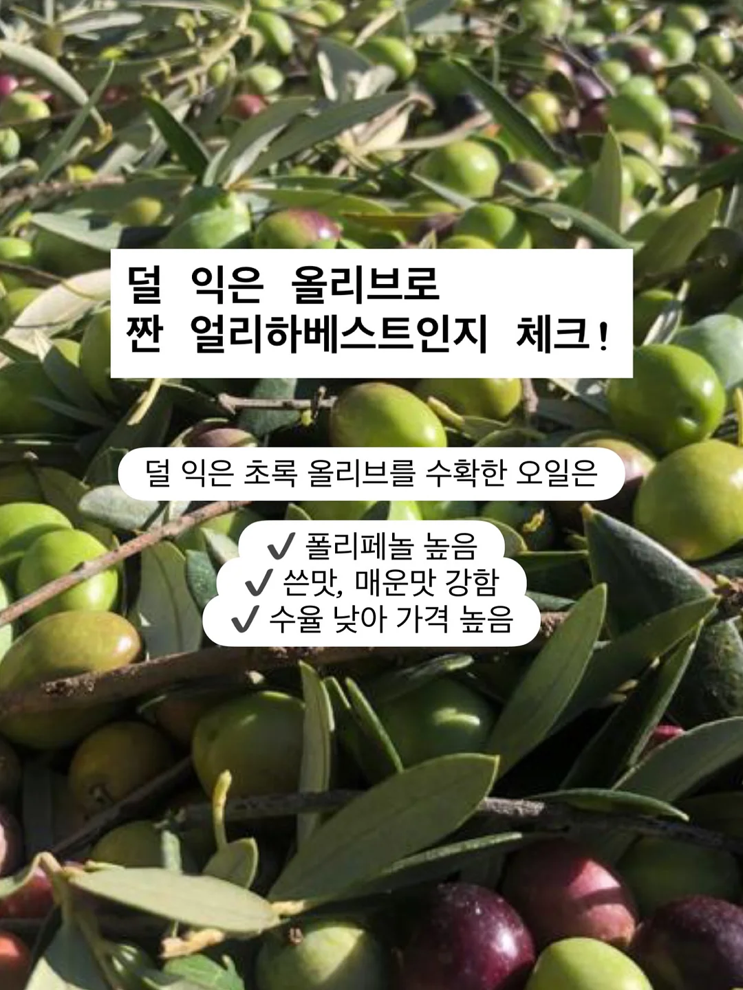 초록 루틴 재료 및 도구 6