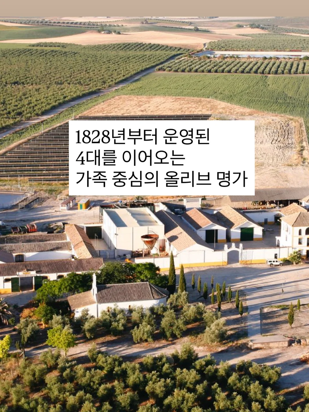 초록 루틴 재료 및 도구 8