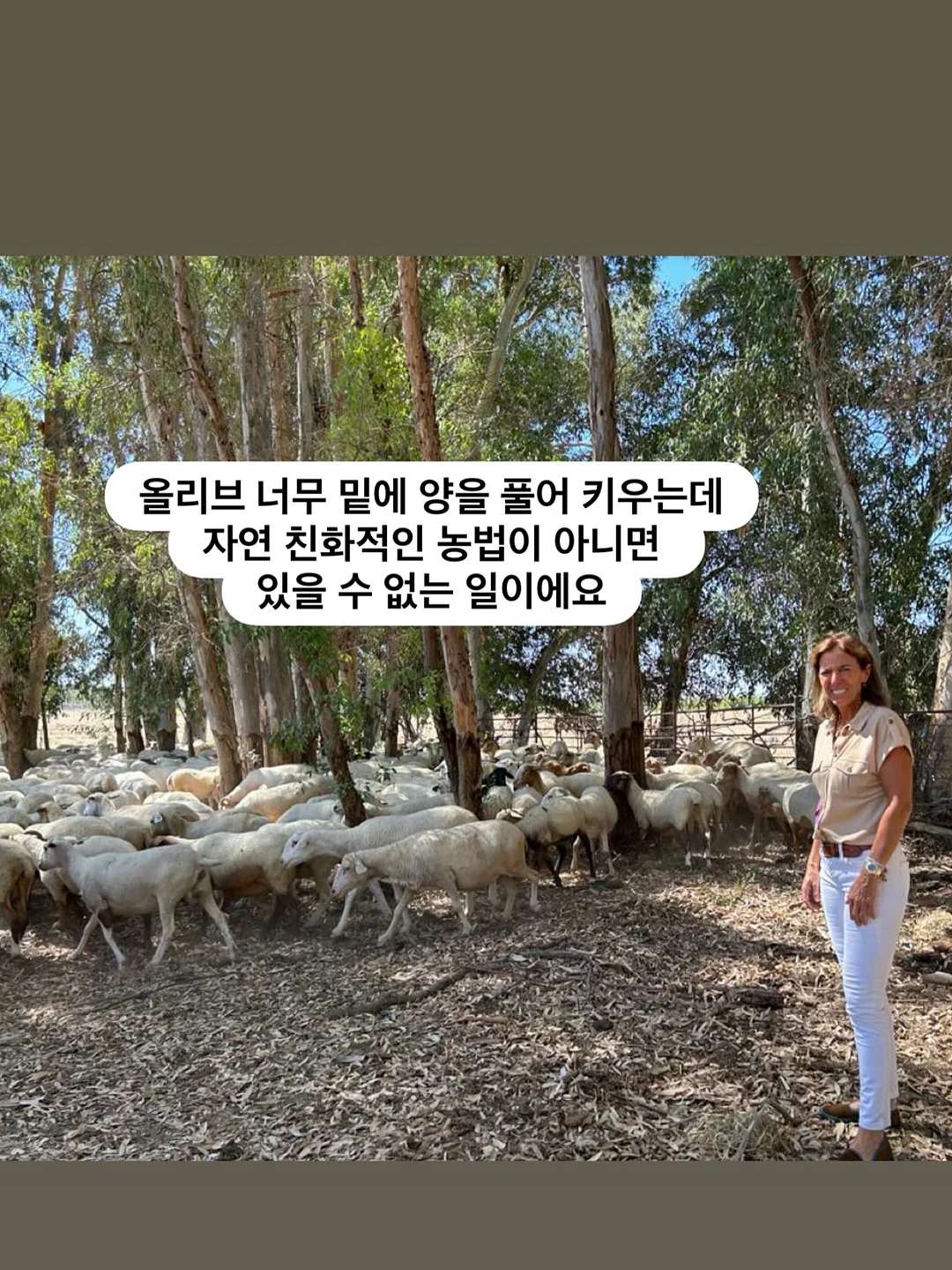 초록 루틴 재료 및 도구 9