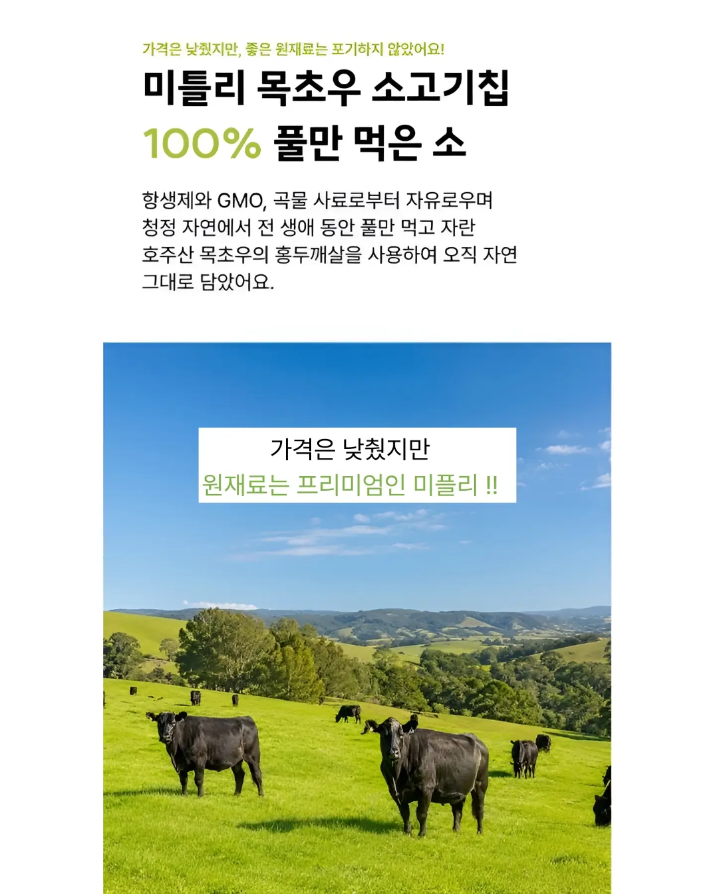 잔들래 김치 3종 12