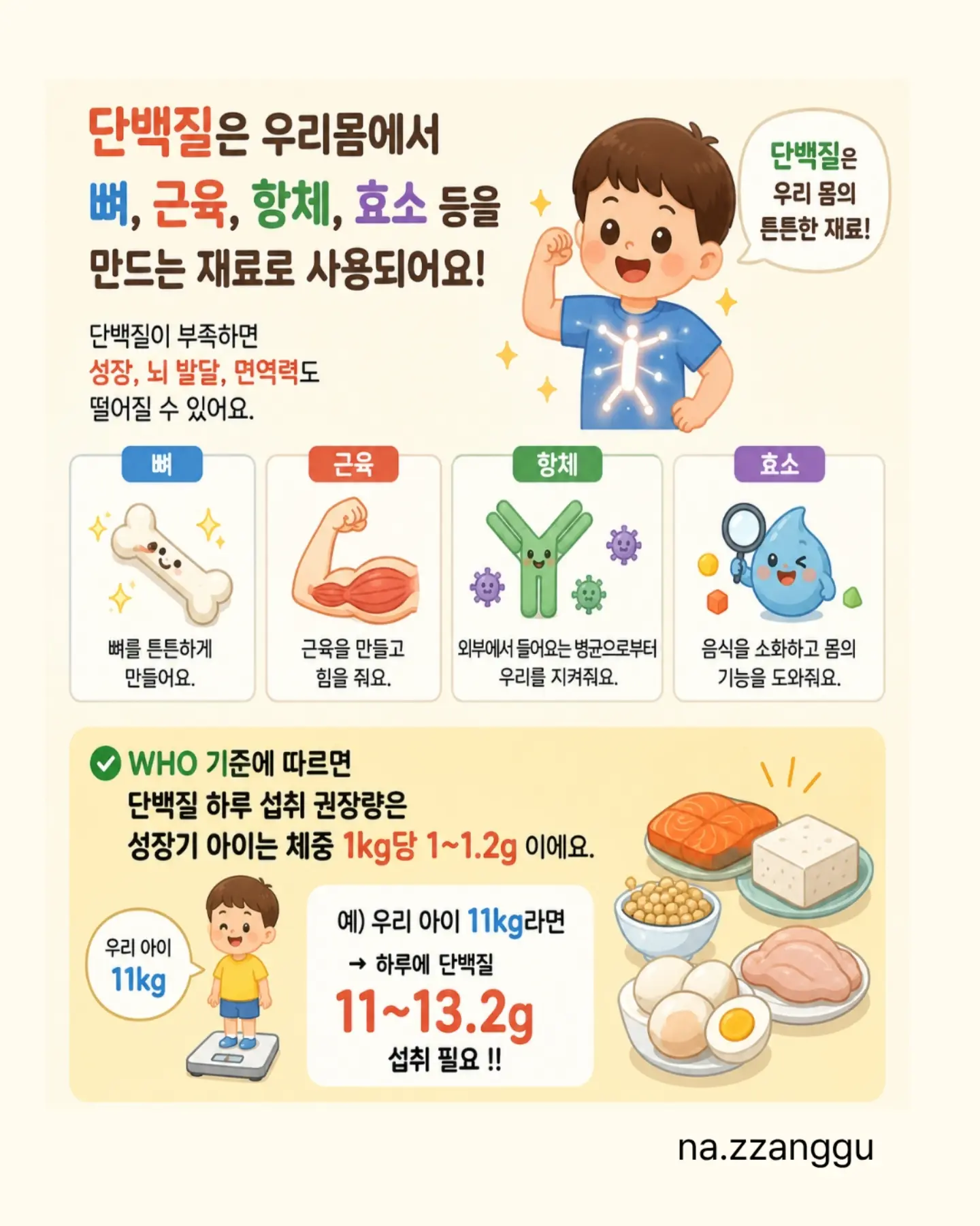 잔들래 김치 3종 7