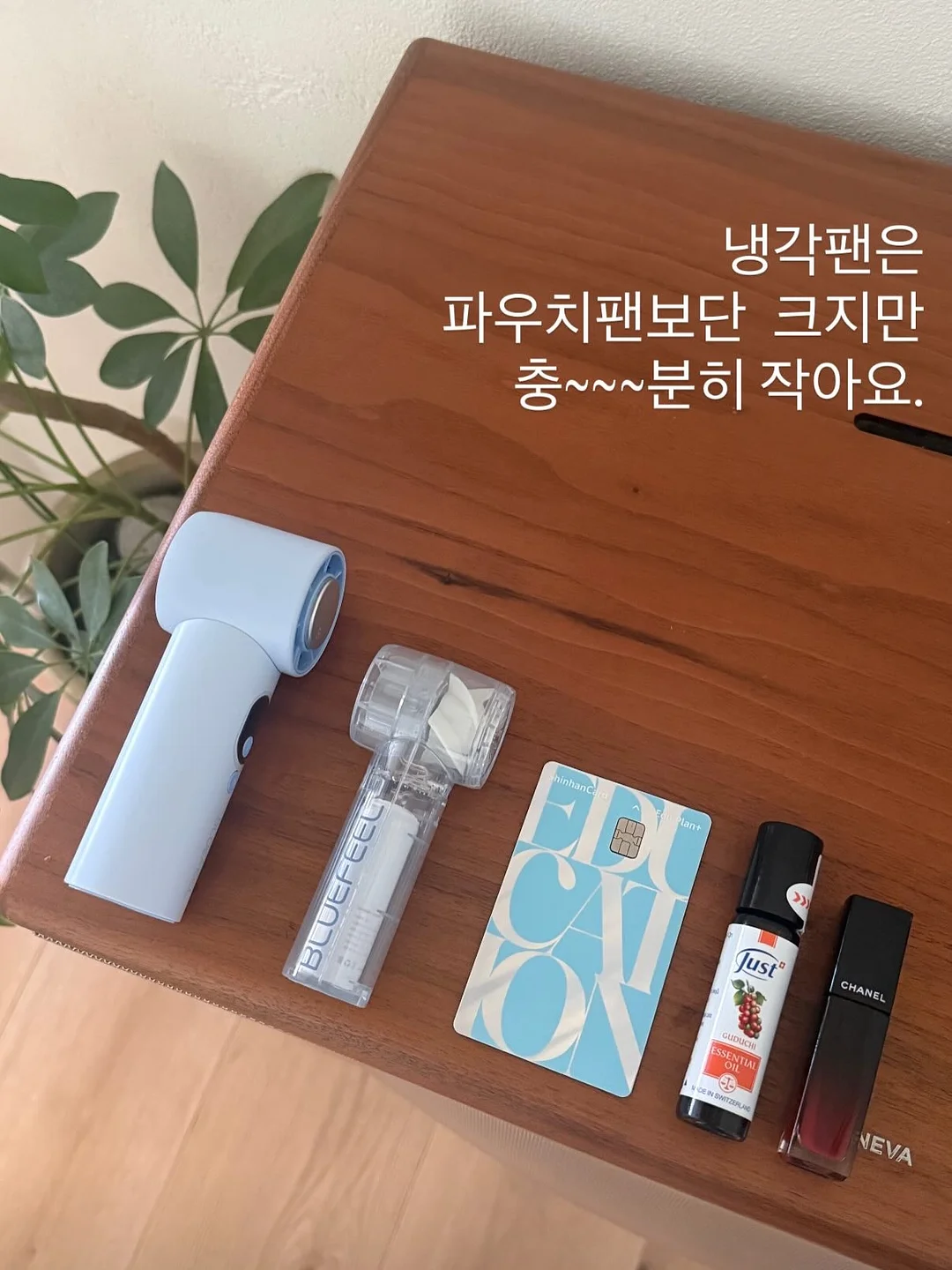 나시 가디건 세트 10