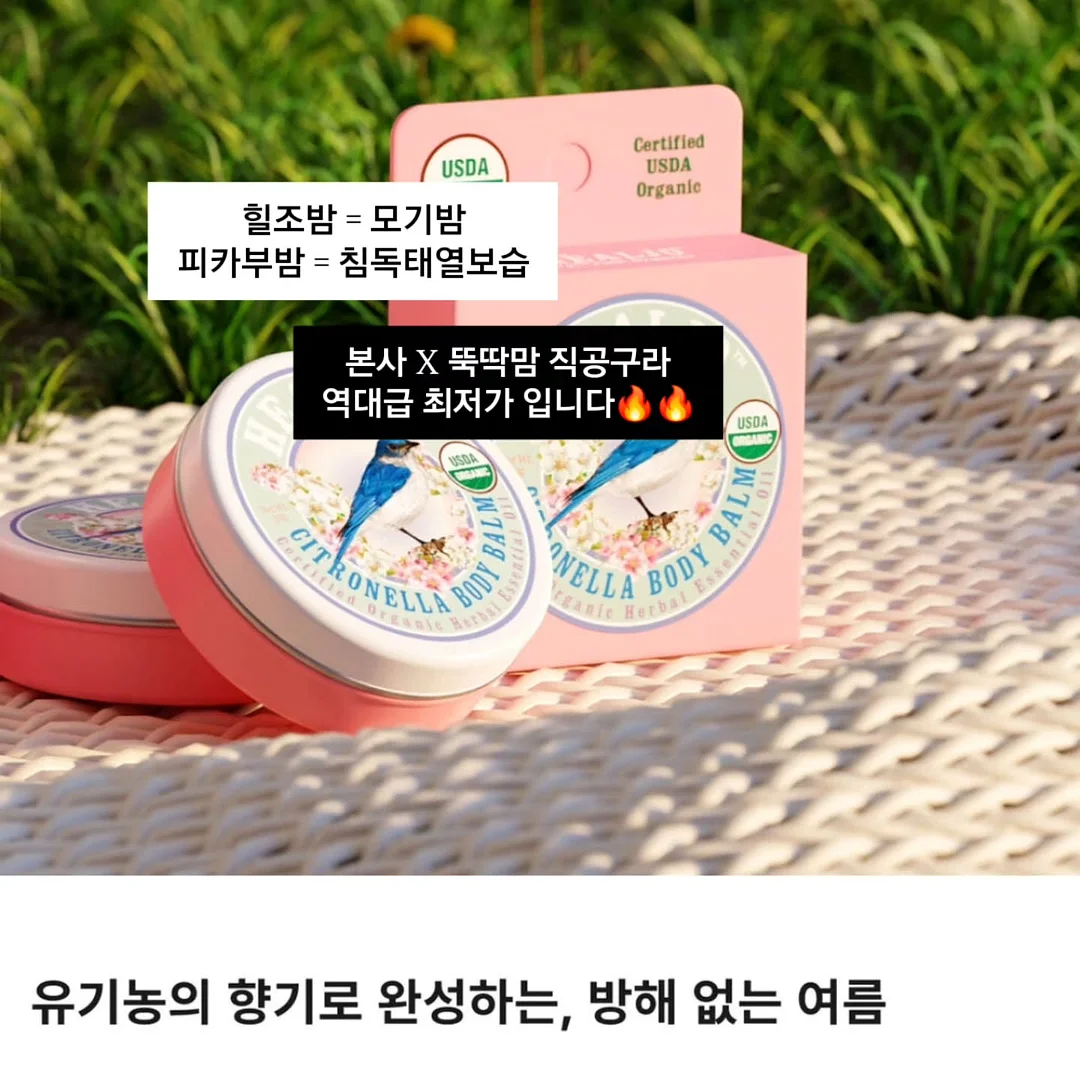 그림케이크 8