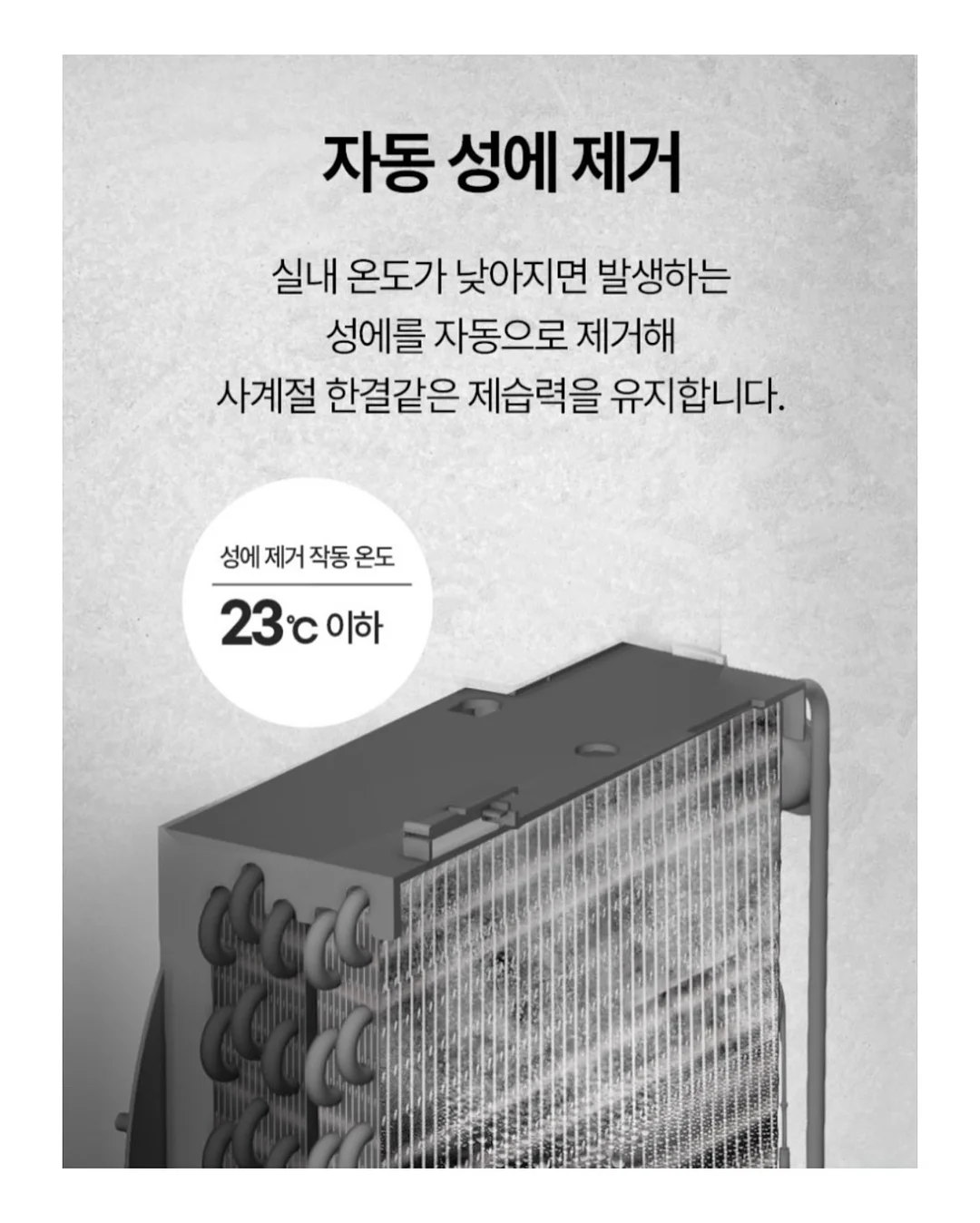 천연 향 식물 12