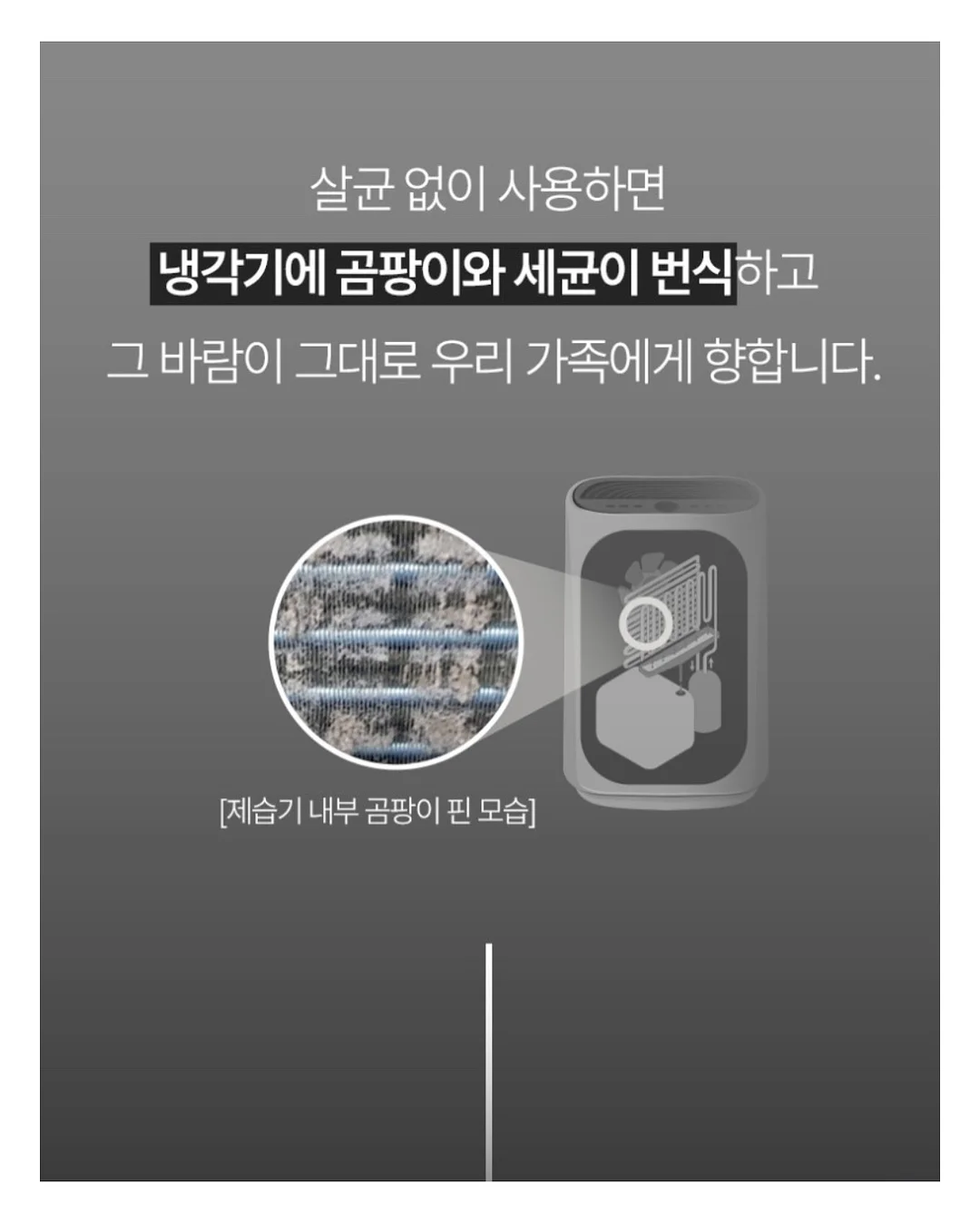 천연 향 식물 7