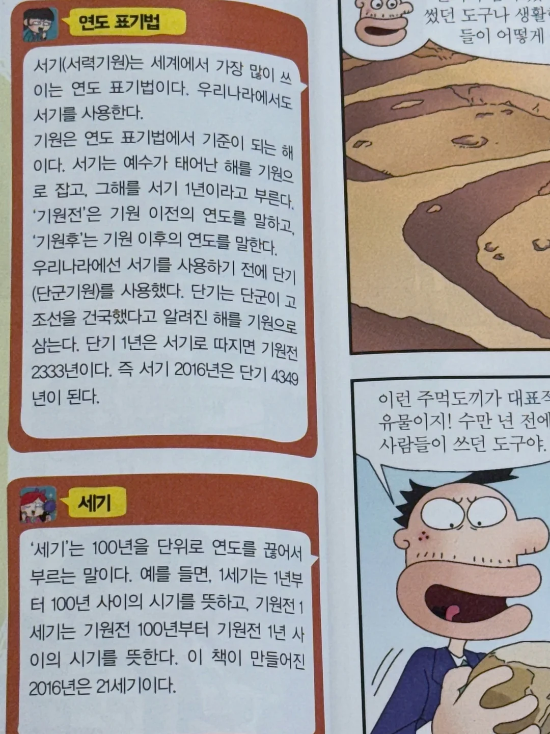 태국망고 4kg 5