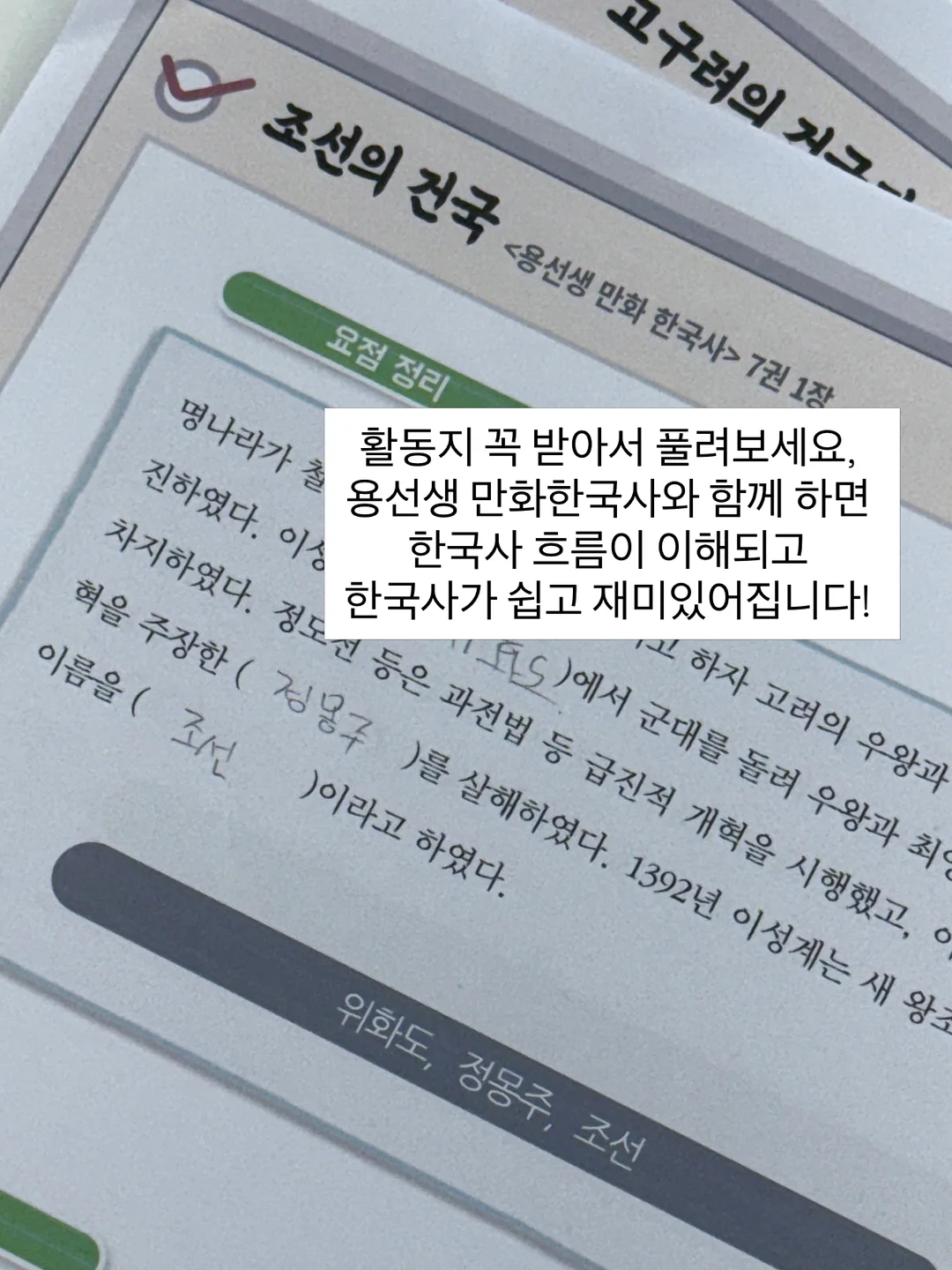 태국망고 4kg 6