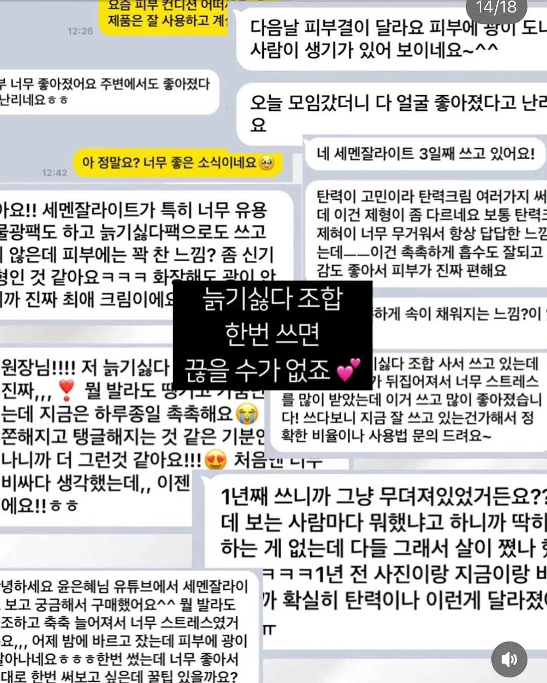 부대꽃다발 15