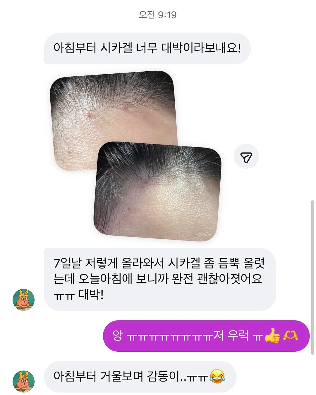 성주 참외 6