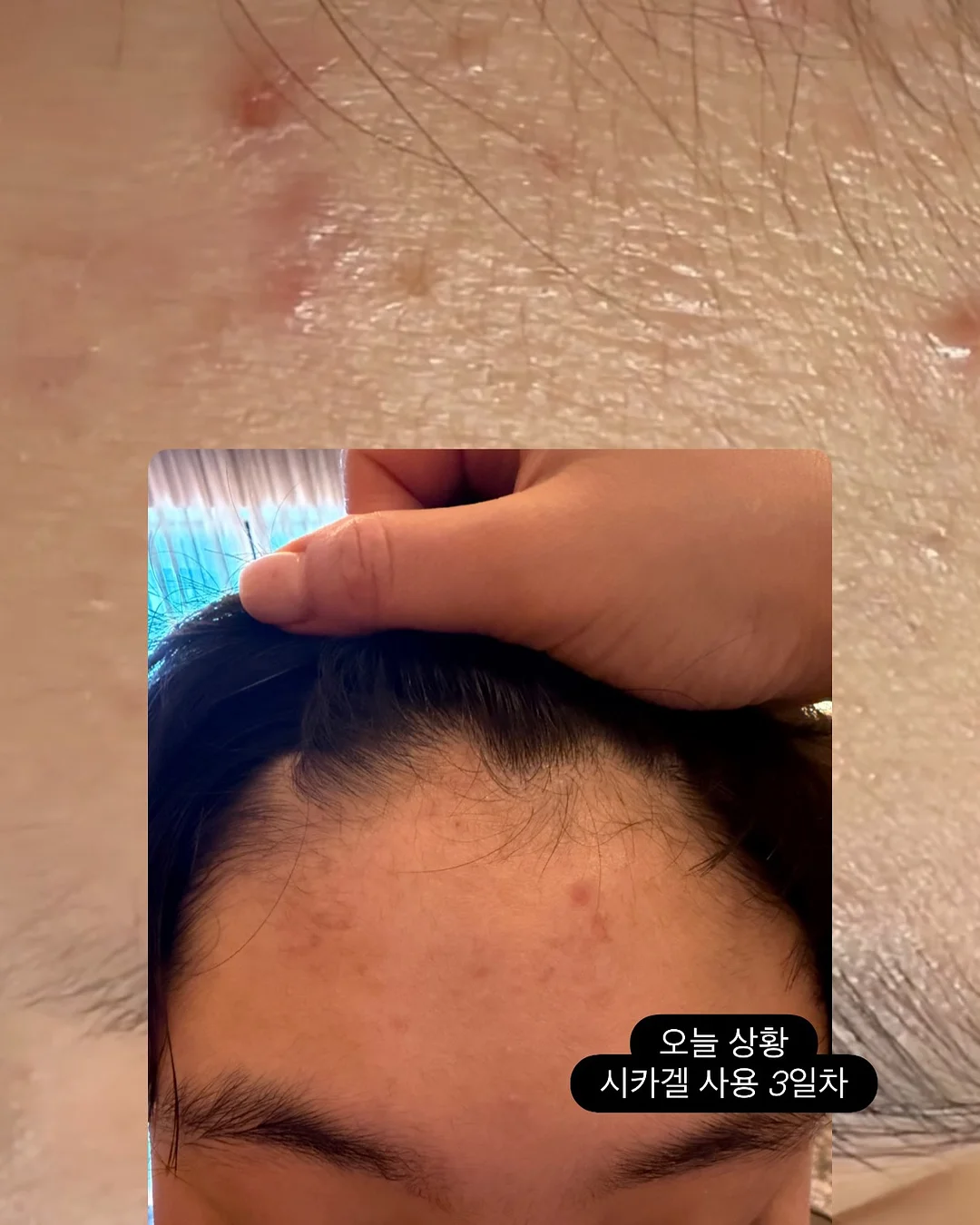 성주 참외 8