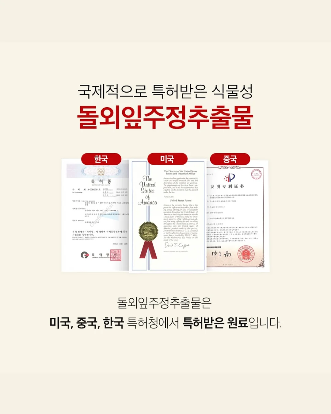 베이비 단가라티 15