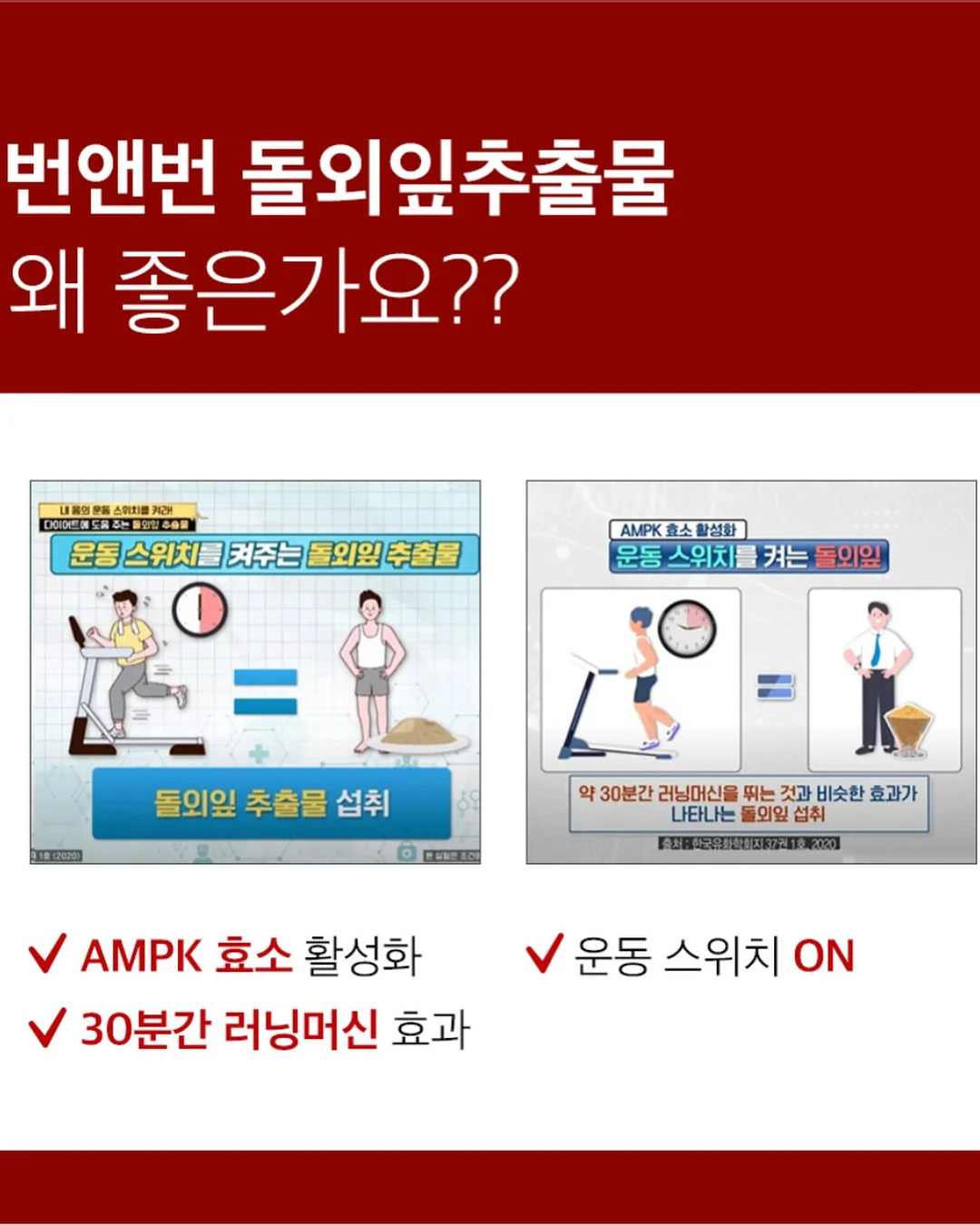 베이비 단가라티 16