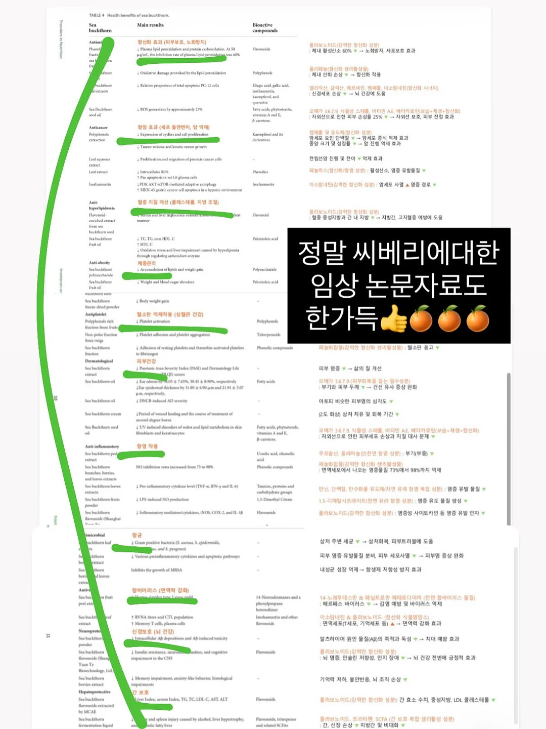 햇완두콩 부라타 샌드위치 8