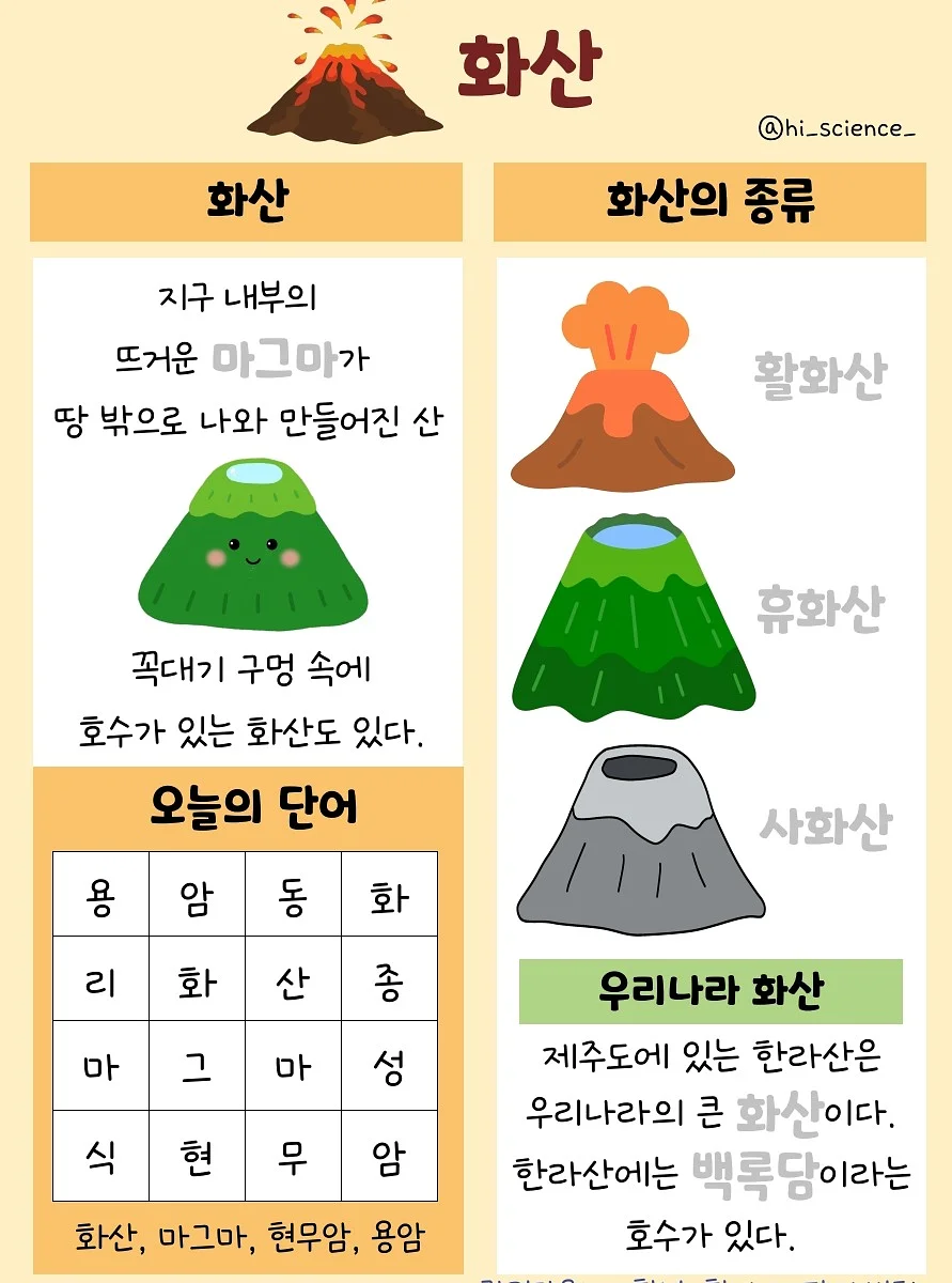 비타민B군 4