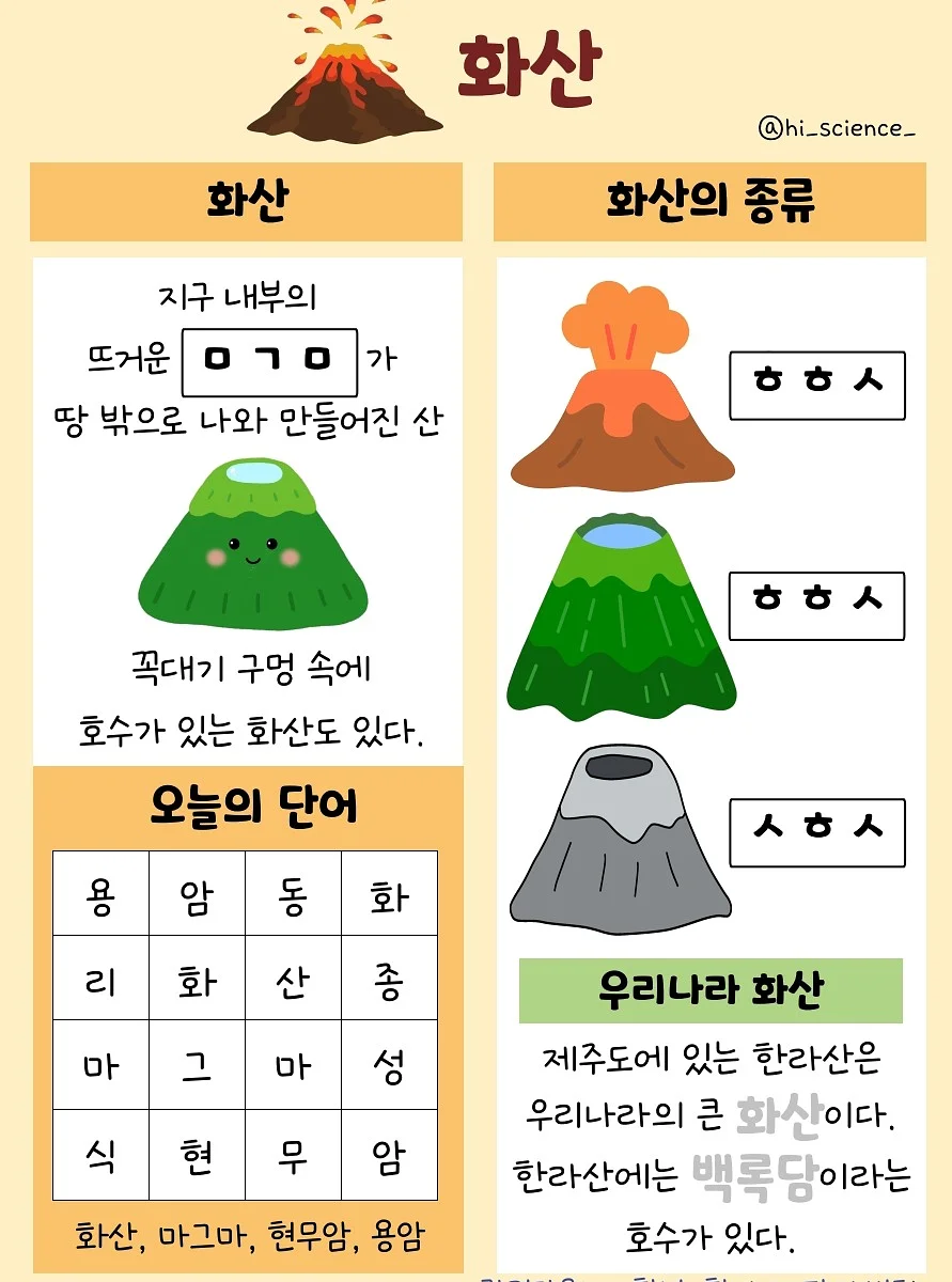 비타민B군 5