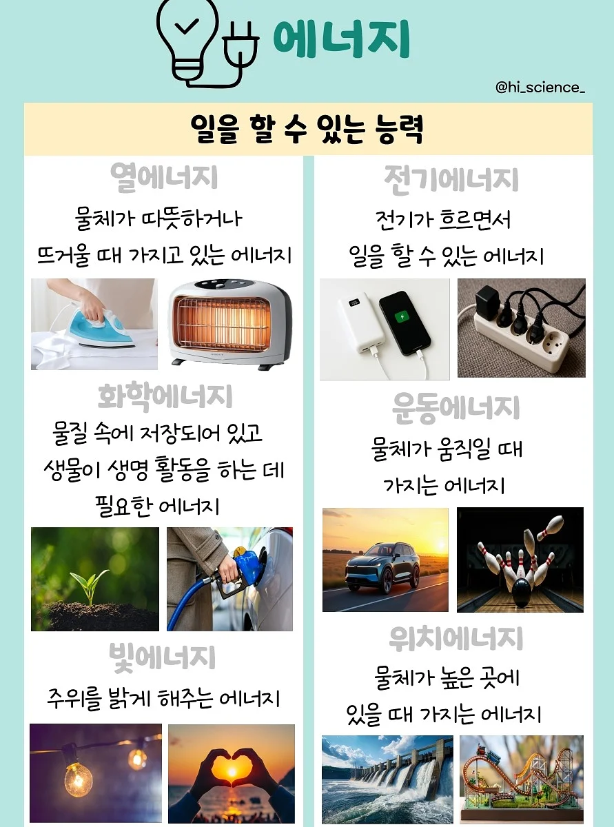 비타민B군 6