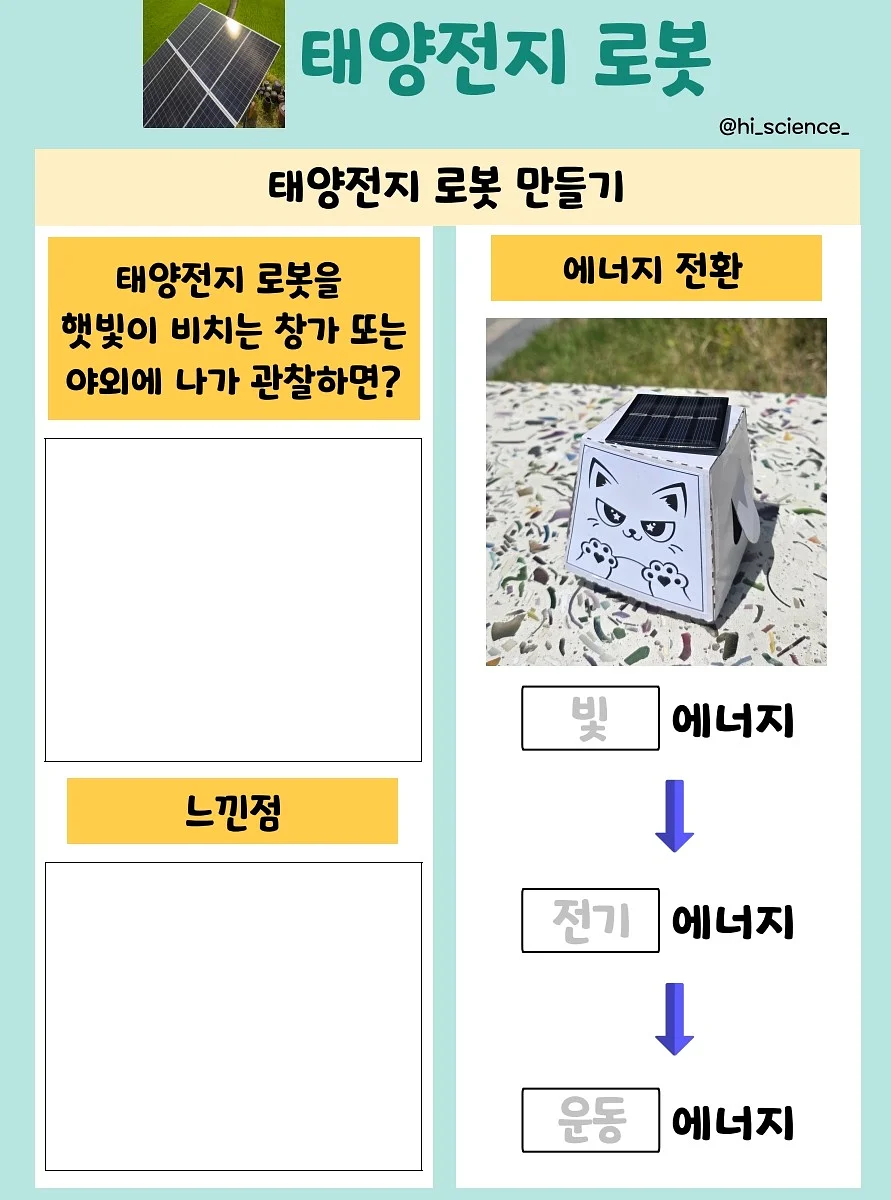 비타민B군 8